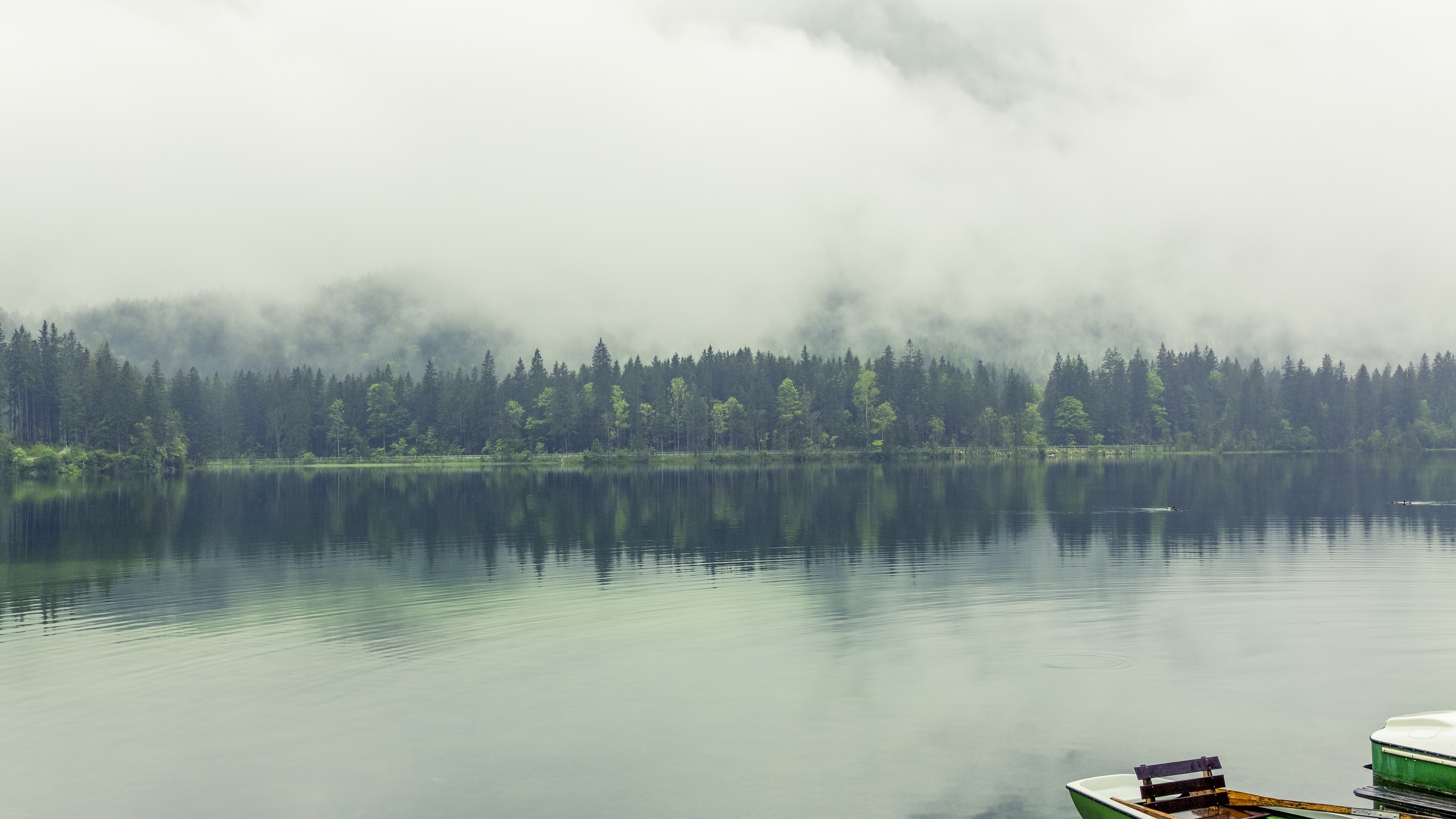 Berchtesgadener Land, 4k, Bavaria, Germany, lake, fog, pines, HD Wallpaper