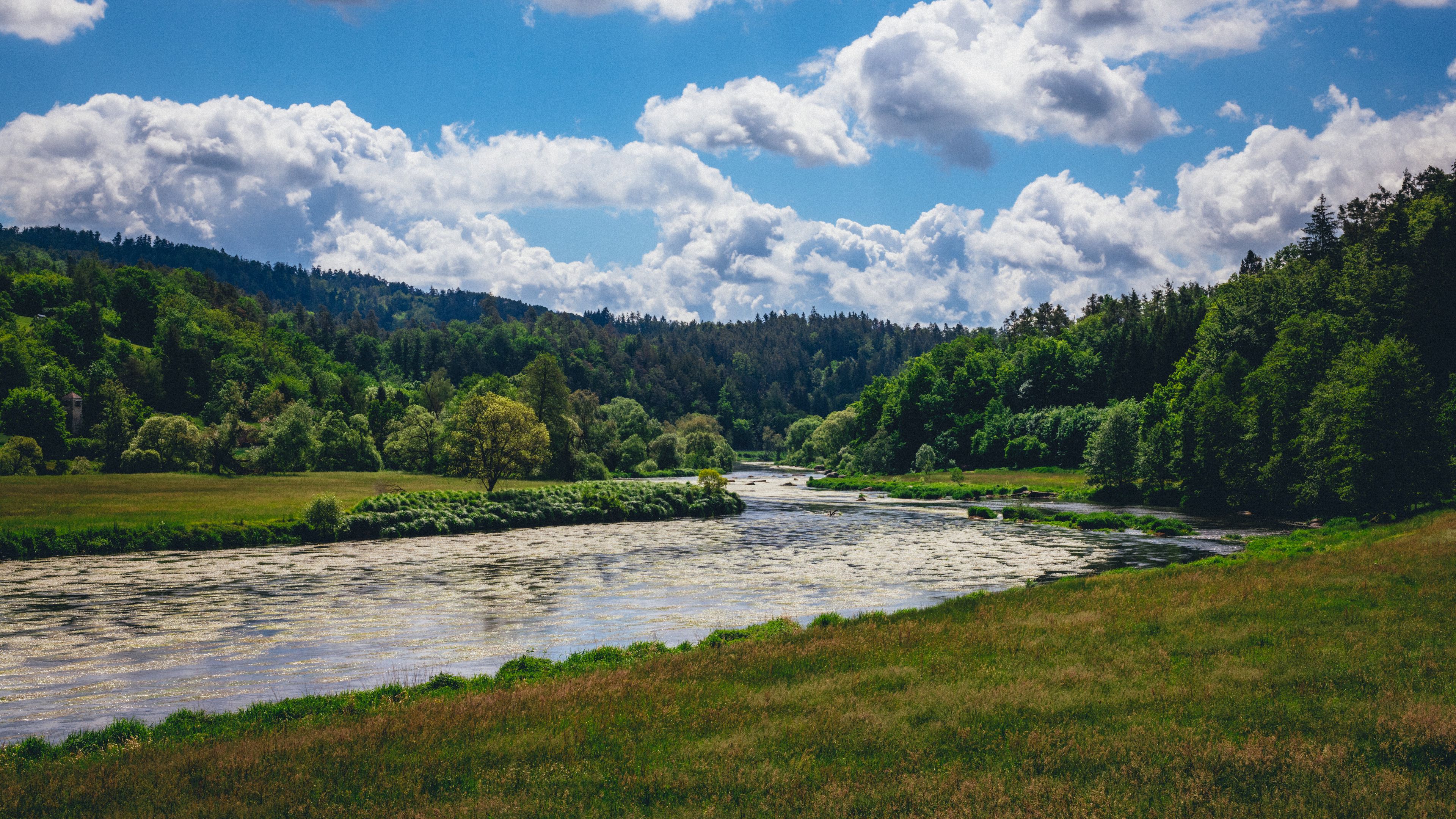 river, forest, trees, grass, meandering, 4k, HD Wallpaper