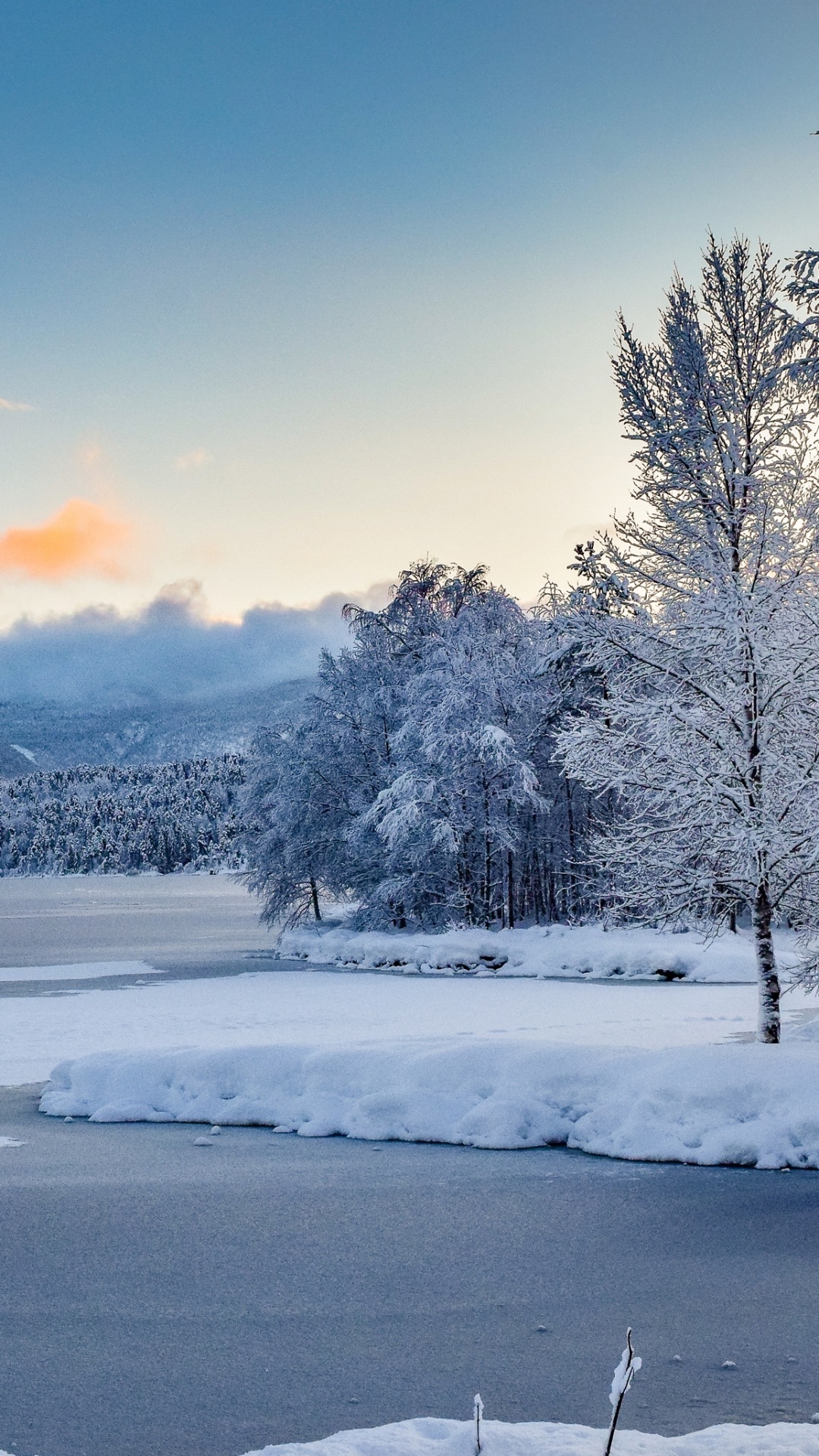 Earth Winter, Snow, Nature, Landscape, 1080x1920 Phone HD Wallpaper — free download