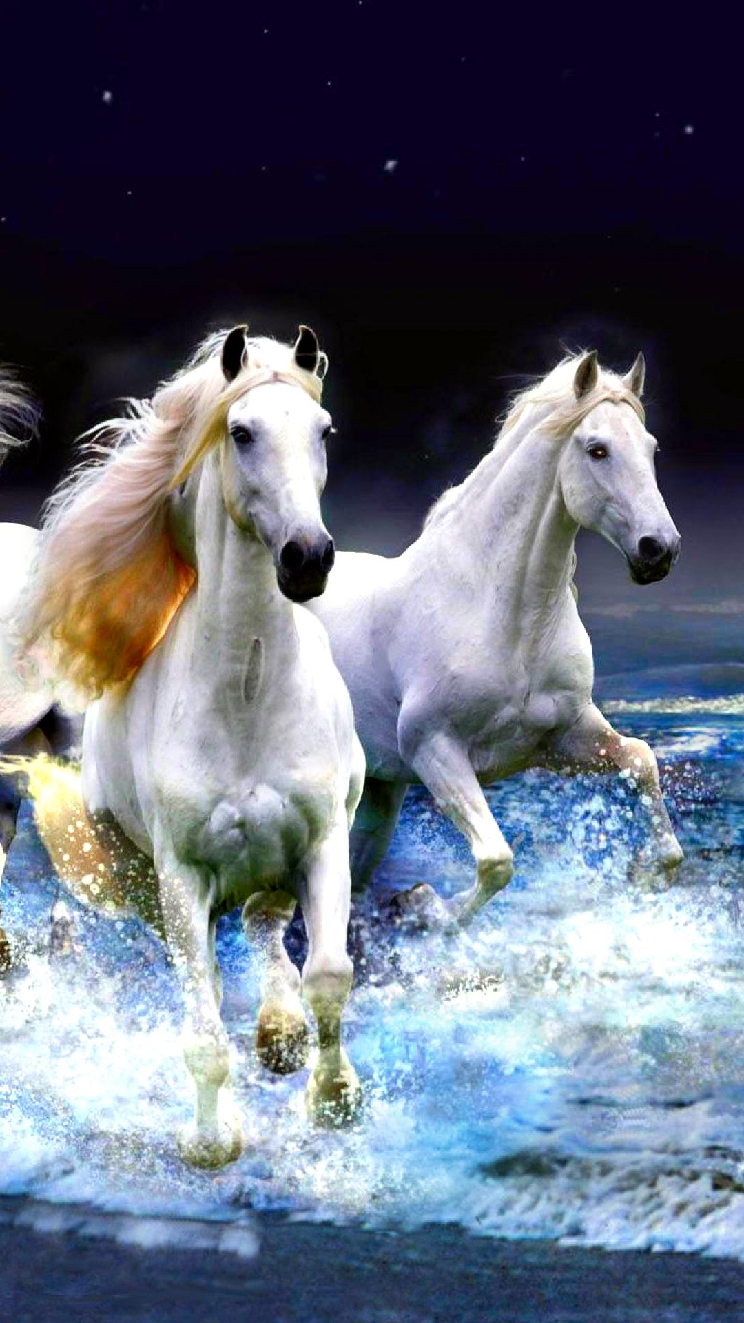 Animal Horse, Sea, Horizon, Beach, 1080x1920, Phone HD Wallpaper