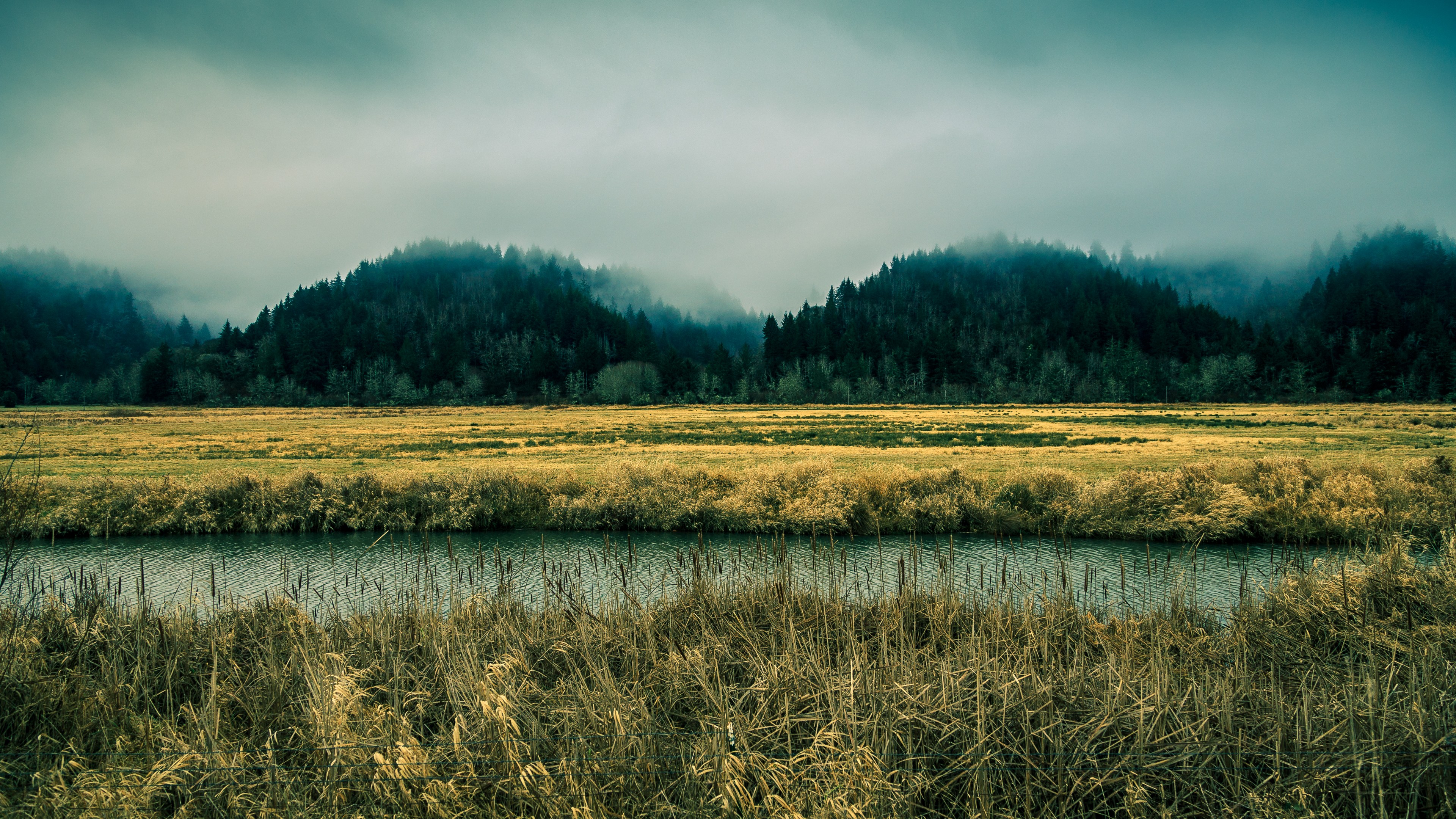 Oregon, 4k, sky, river, fog, forest, pines, HD Wallpaper