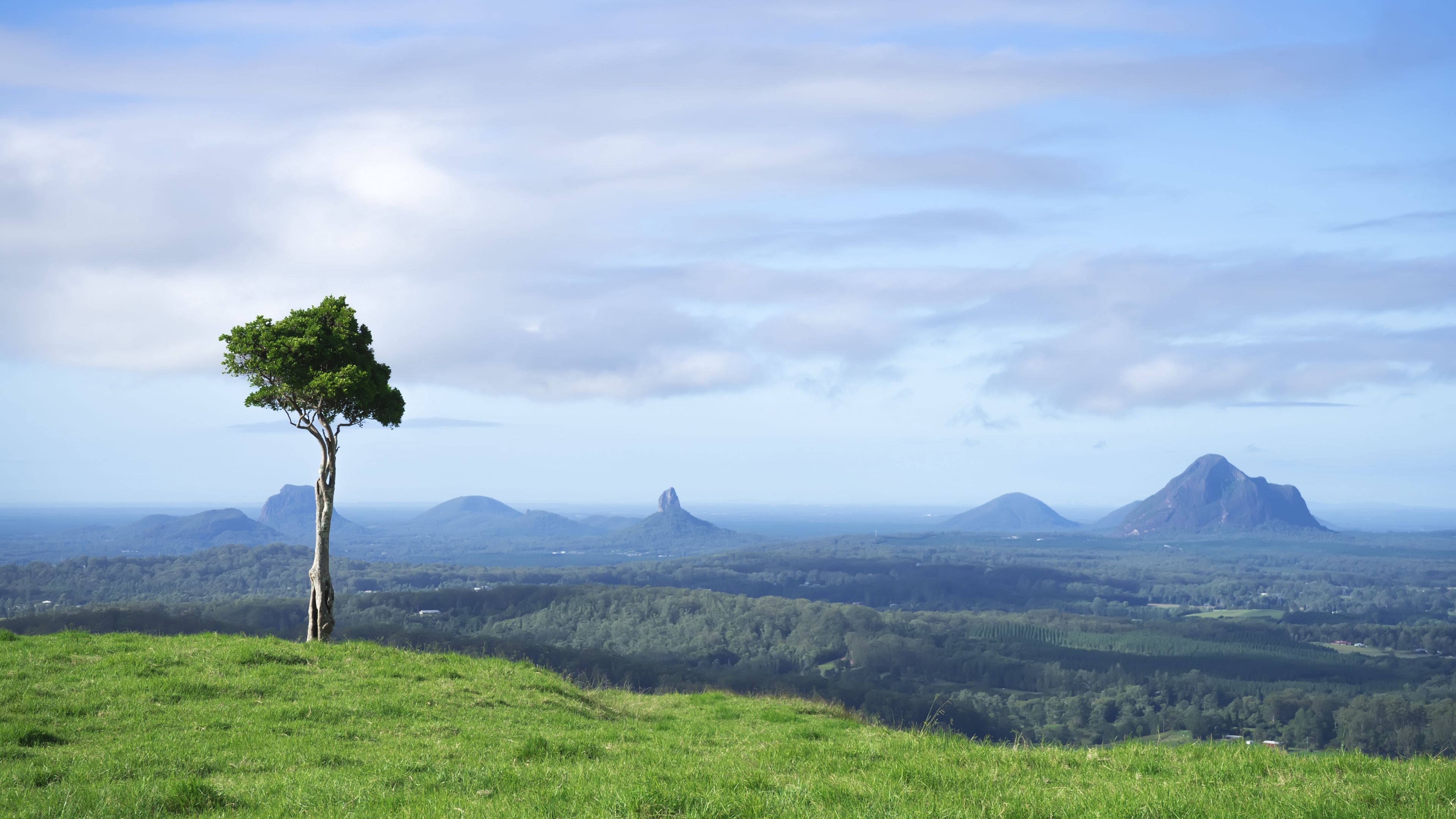 tree, grass, rocks, hills, 4k, HD Wallpaper