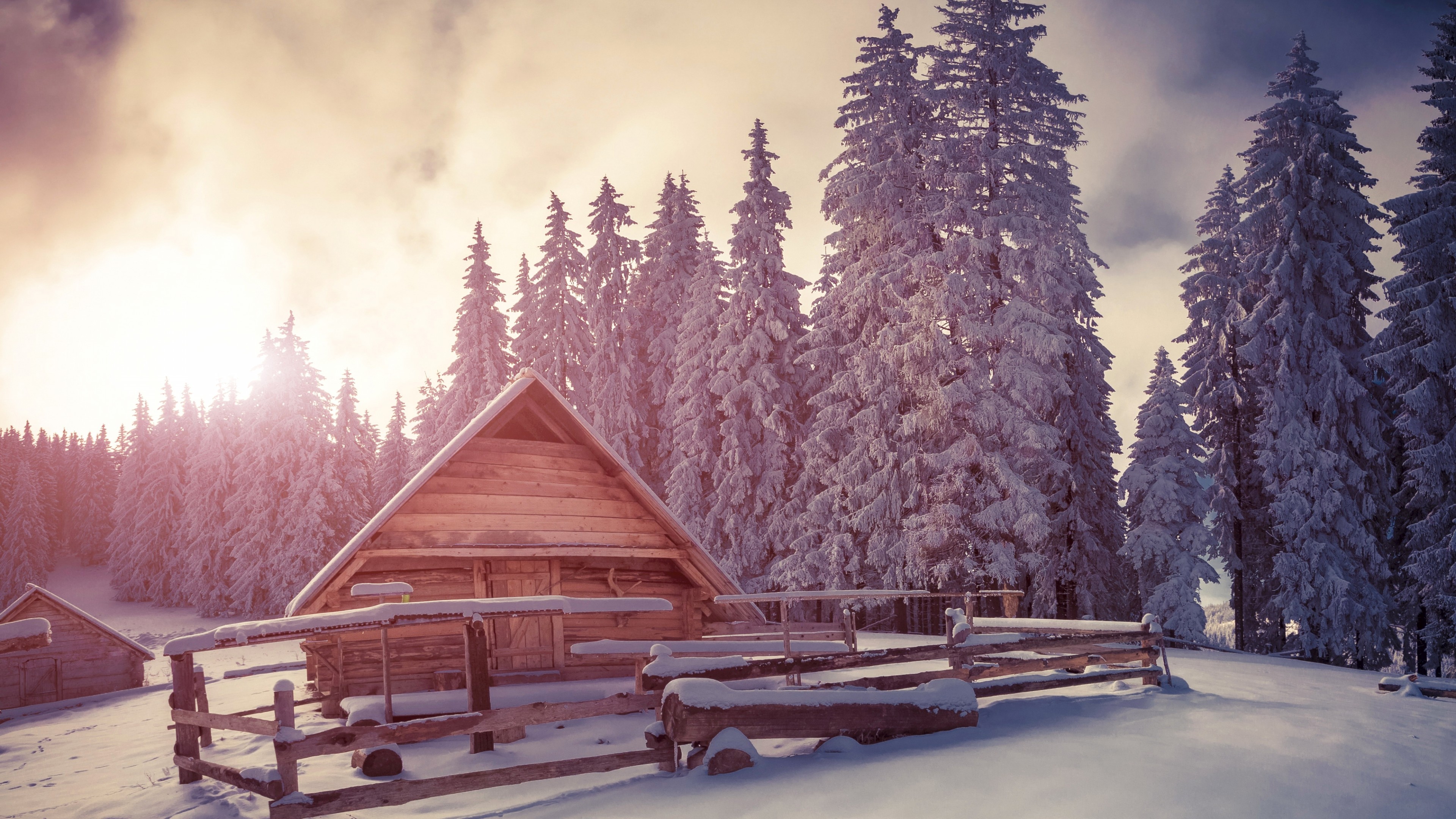 Pines, 4k, snow, sunset, house, HD Wallpaper