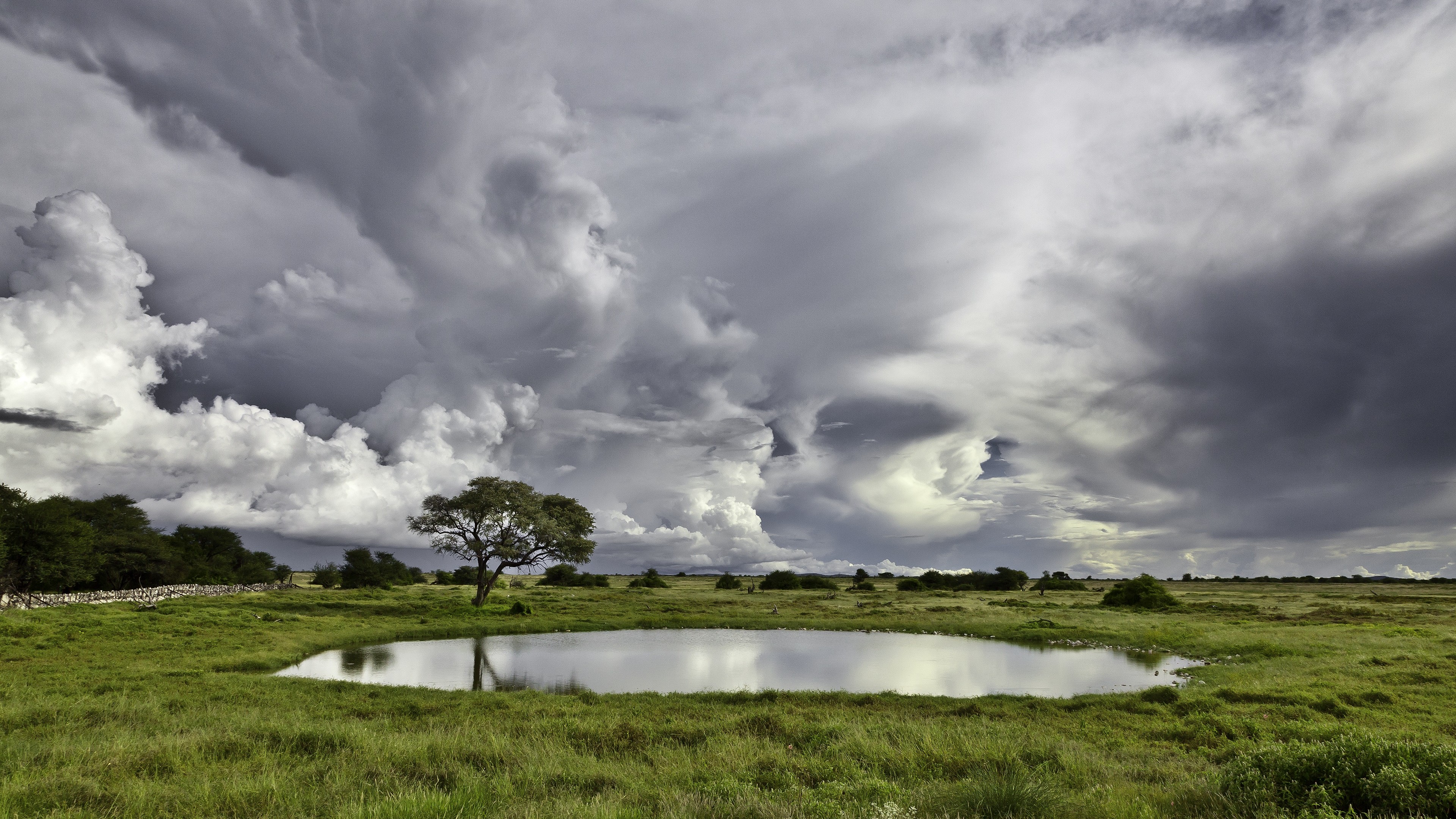 Lake, 4k, trees, clouds, meadows, HD Wallpaper