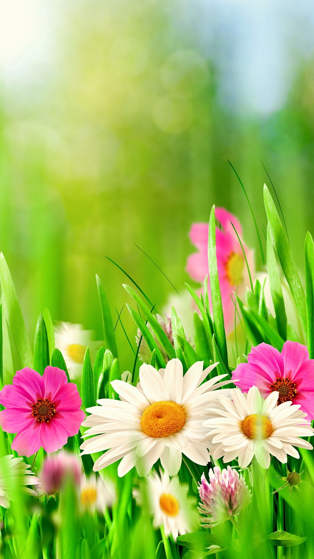 Earth Flower, Close-up, Earth, Bokeh, Grass, Daisy, 1080x1920, Phone HD Wallpaper