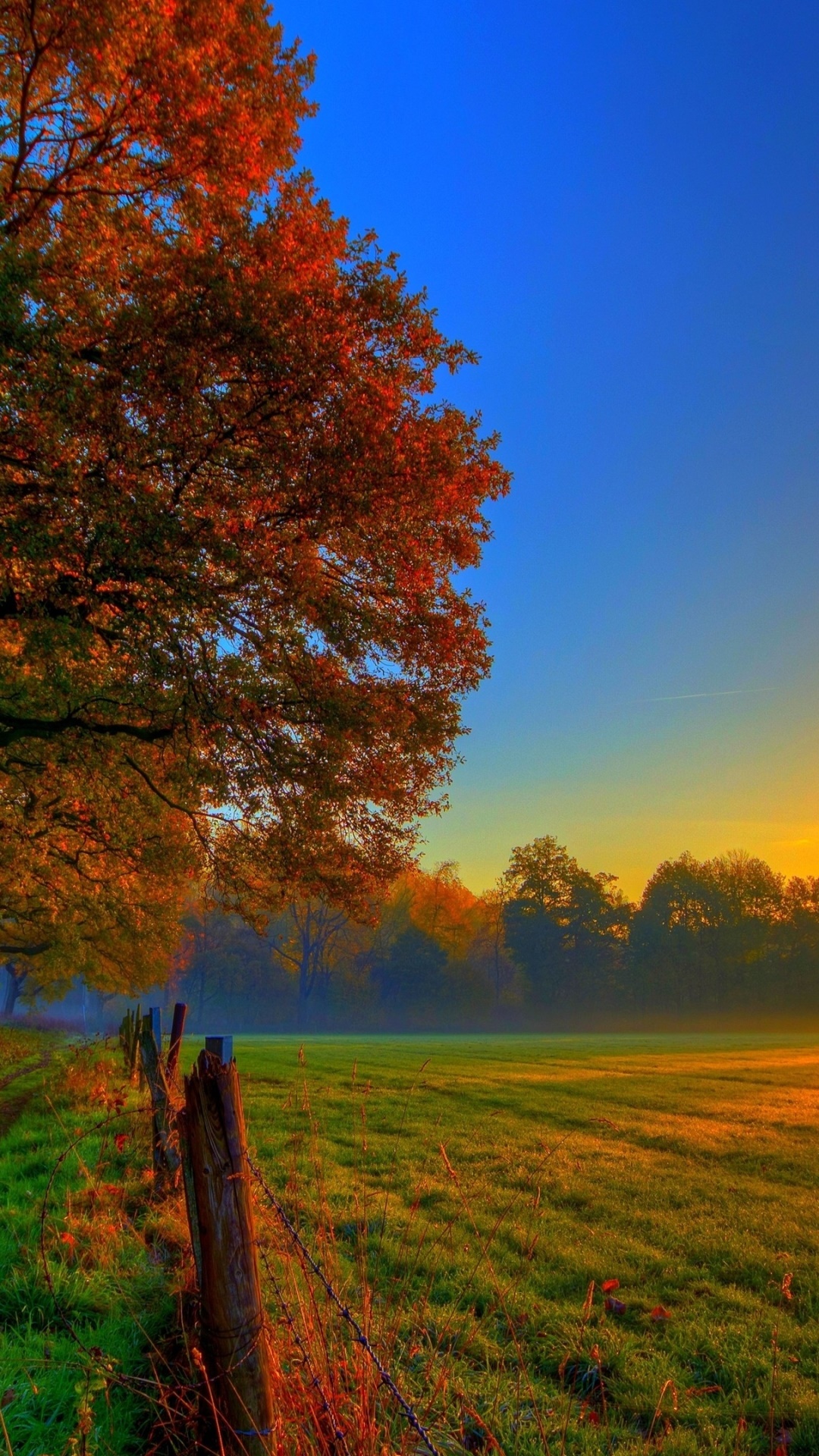 Earth Sunset, Sky, Fall, Field, 1080x1920, Phone HD Wallpaper