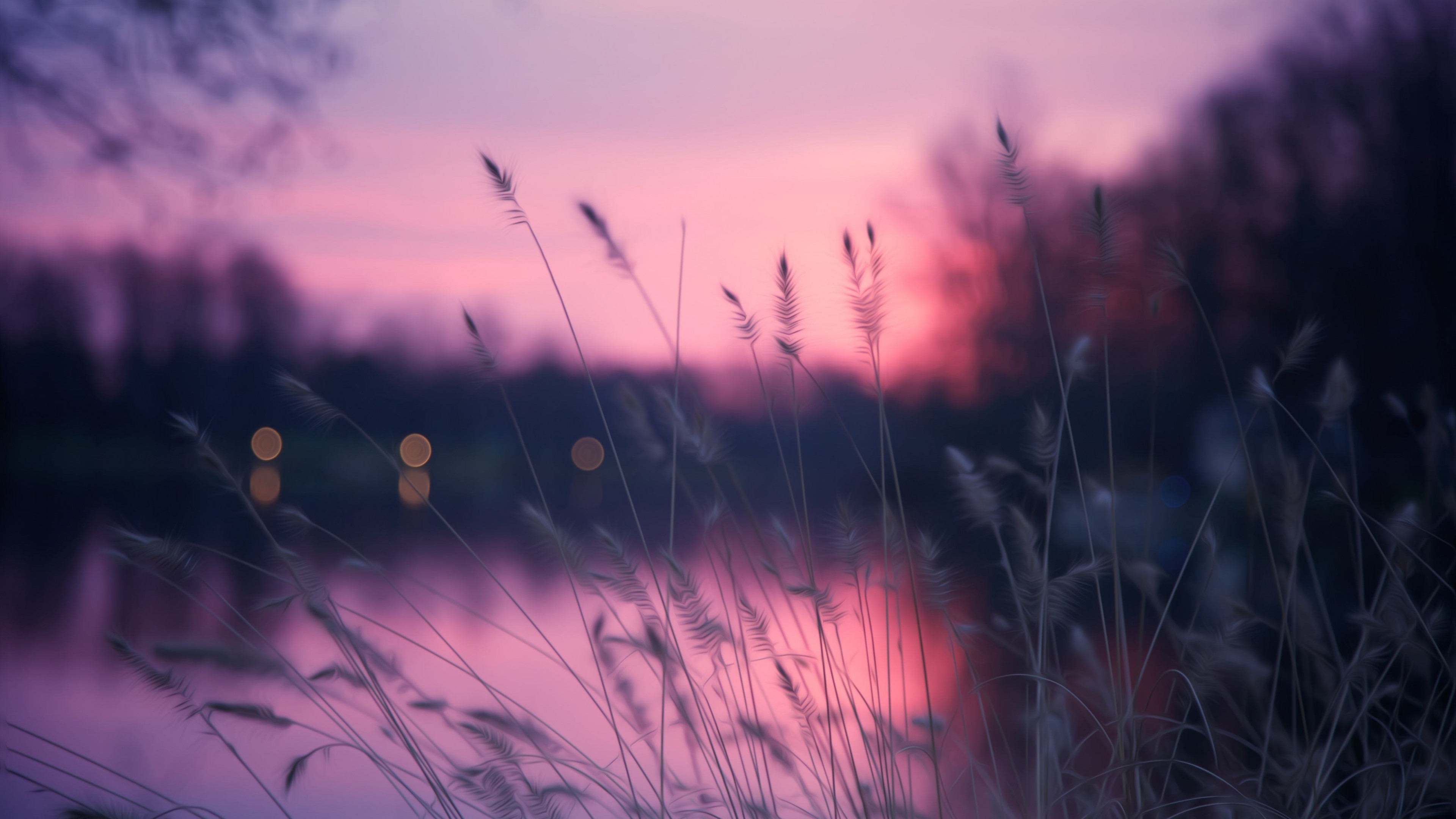 Lake, 4k, grass, sunset, purple, HD Wallpaper