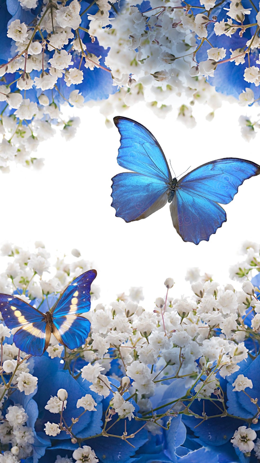 Artistic Butterfly, Blue, Flower, White Flower, 1080x1920, Phone HD Wallpaper