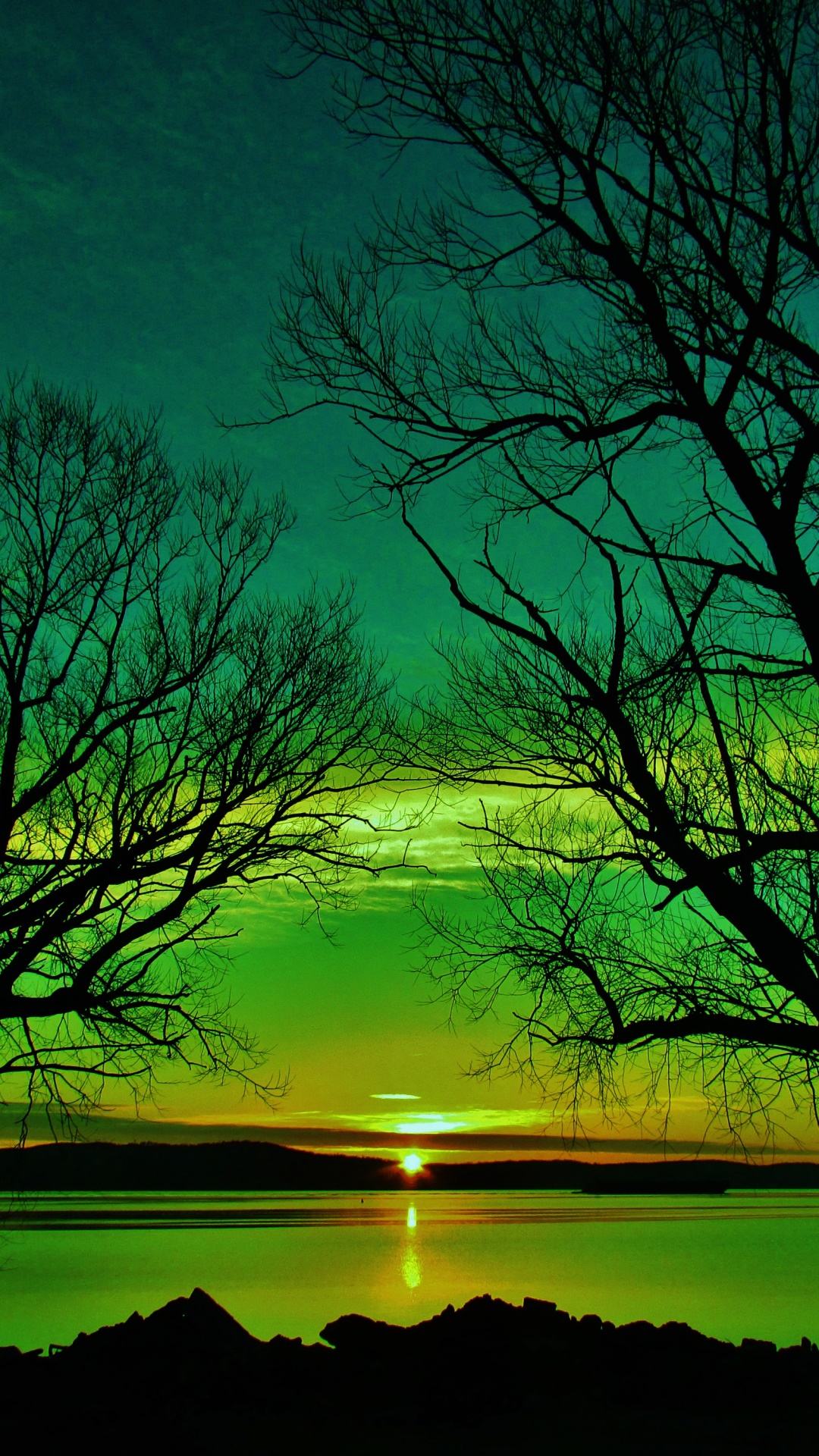 Earth Sunset, Lake, Silhouette, Tree, Green, 1080x1920, Phone HD Wallpaper