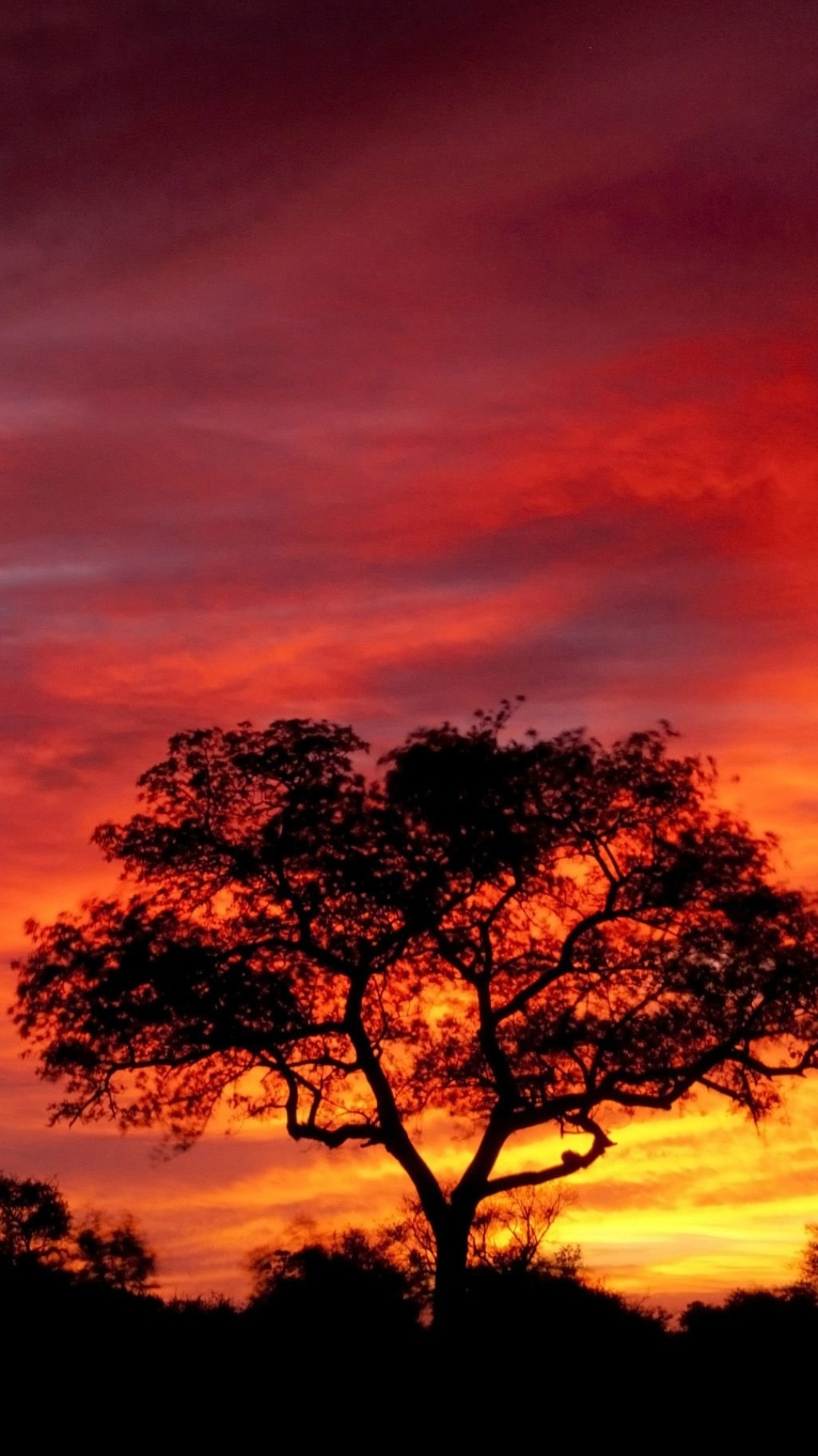Earth Sunset, South Africa, Orange (Color), Silhouette, Nature, Sky, 1080x1920, Phone HD Wallpaper