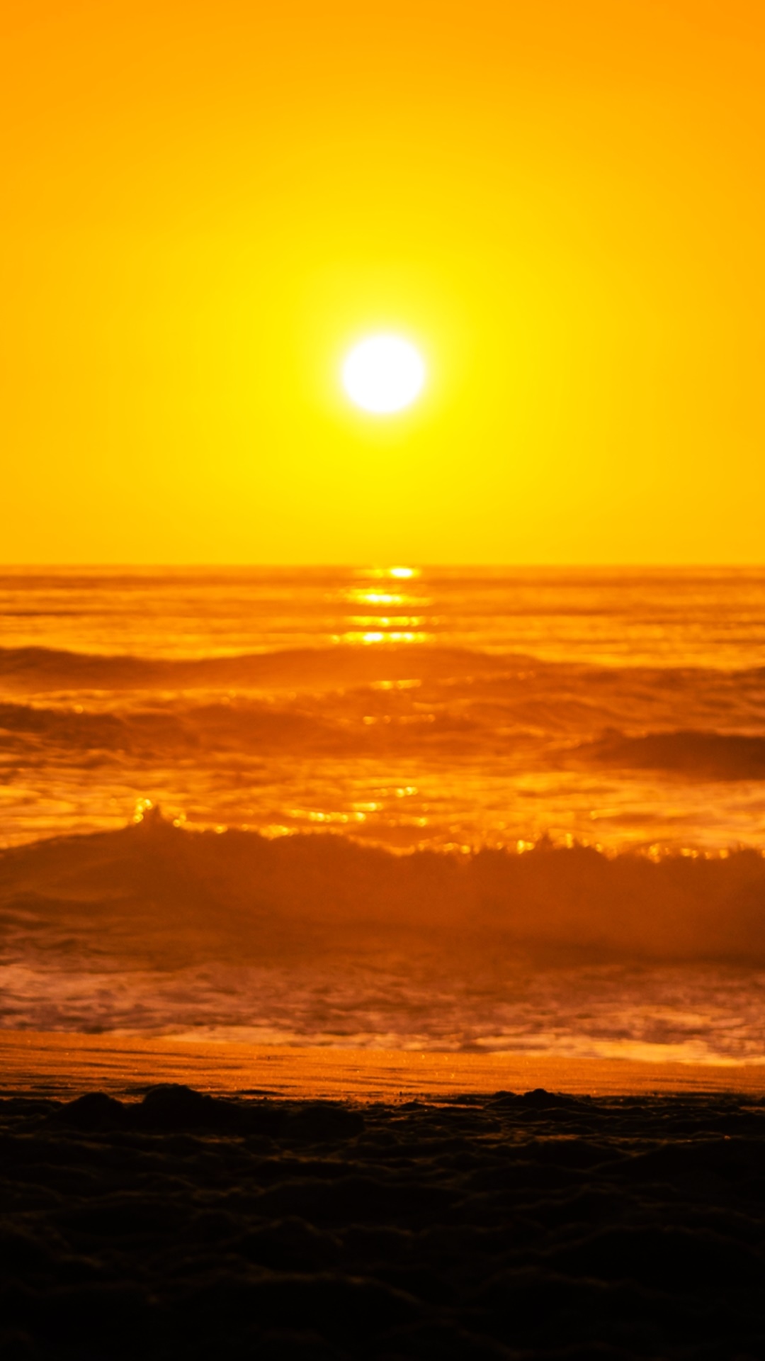 Earth Sunset, Landscape, Nature, Dog, Beach, Earth, 1080x1920, Phone HD Wallpaper
