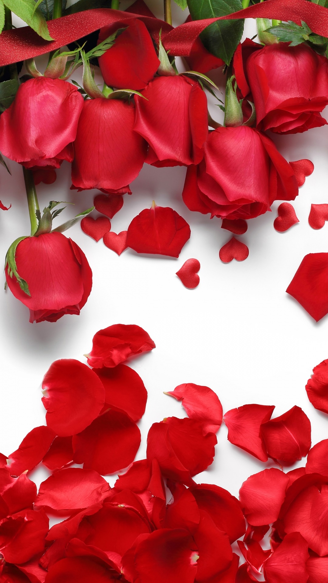 Earth Rose, Petal, Red Rose, Flower, Red Flower, 1080x1920, Phone HD Wallpaper