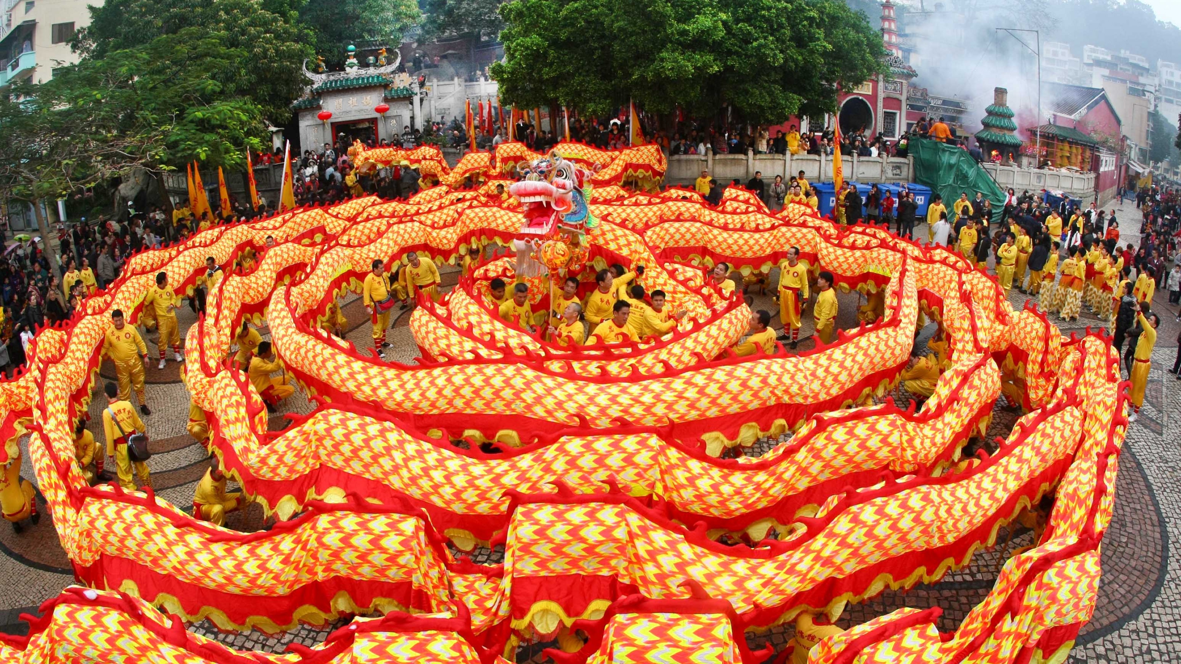 Chinese New Year, Spring Festival, dragon, orange, HD Wallpaper