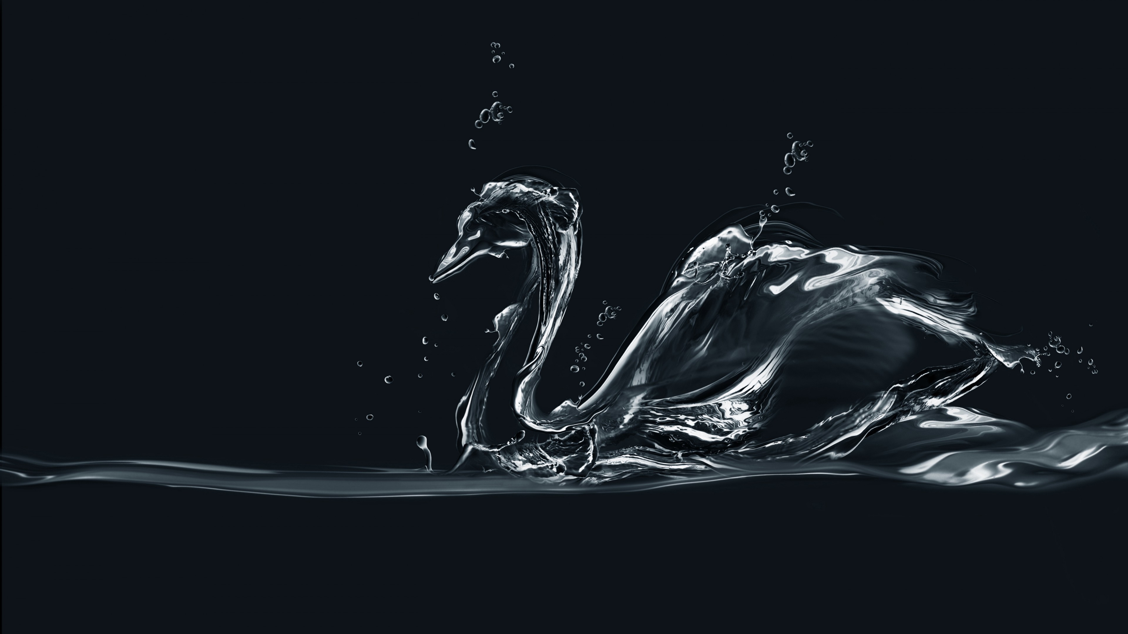 Swan, drops, art, HD Wallpaper