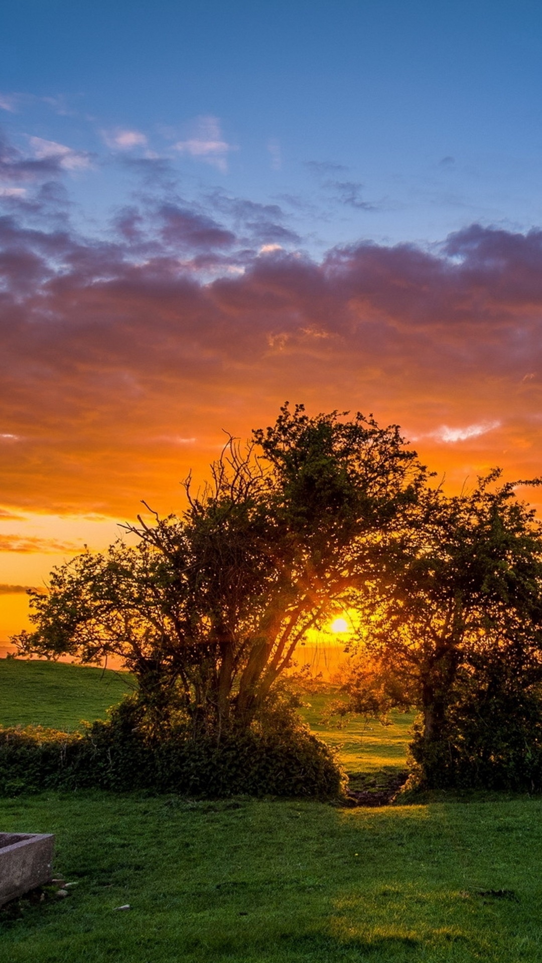 Earth Sunset, 1080x1920, Phone HD Wallpaper