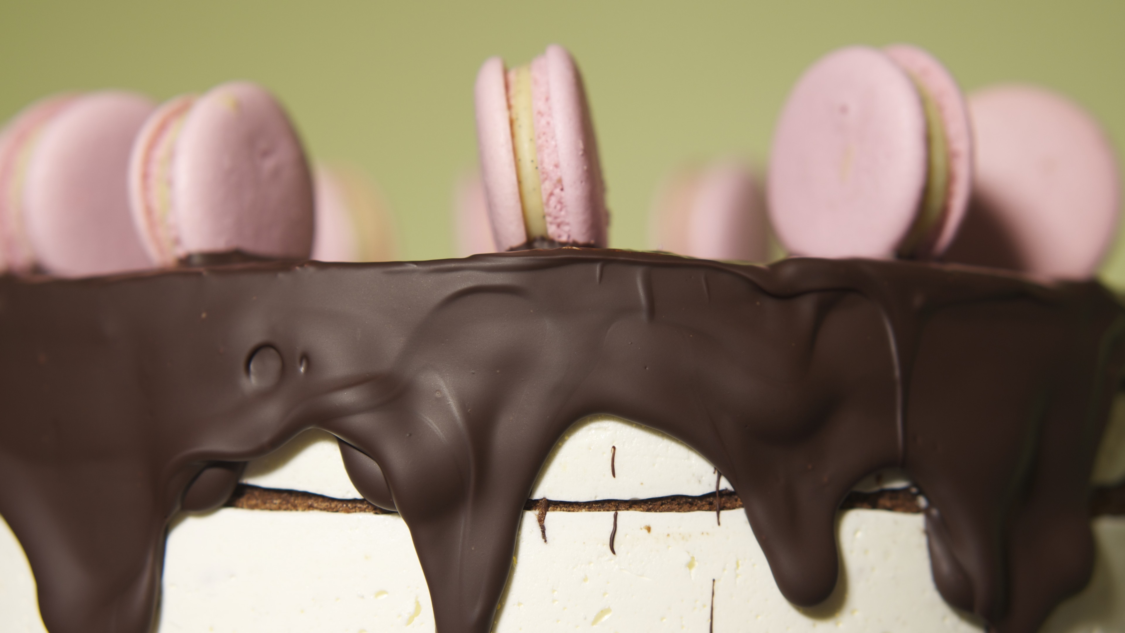 cake, chocolate, macaroon, HD Wallpaper