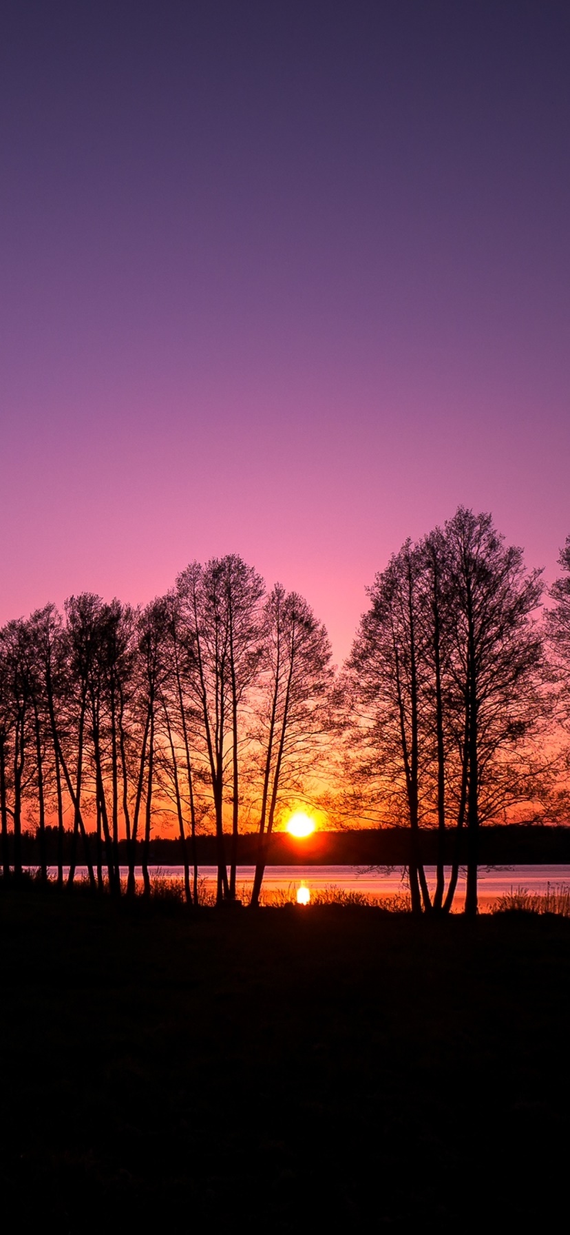 Earth Sunset, Nature, 828x1792, Phone HD Wallpaper