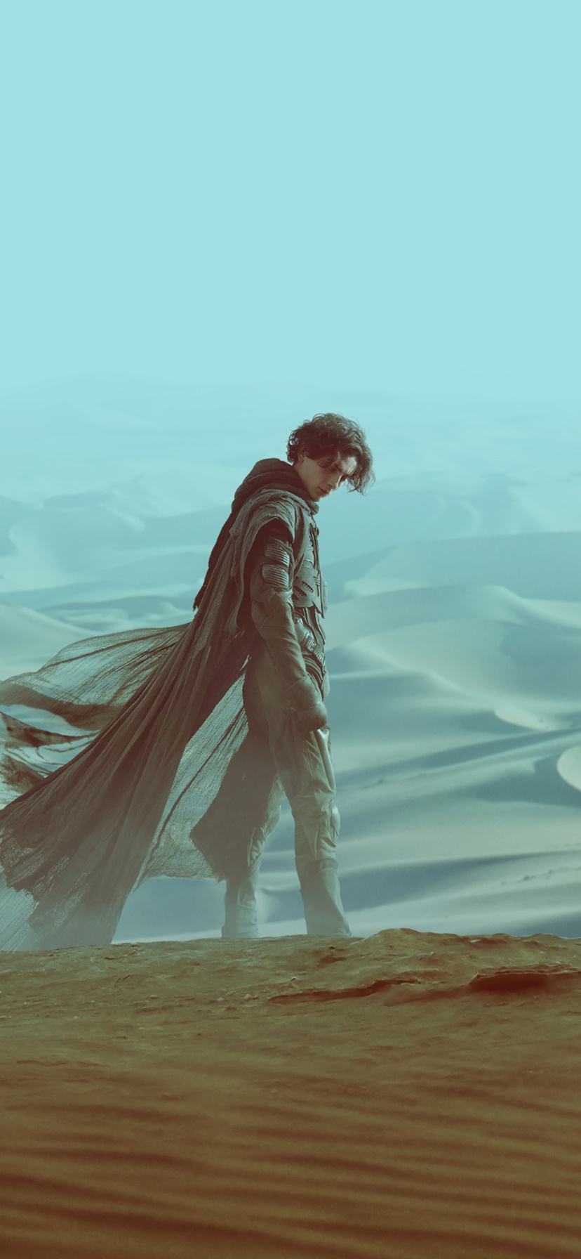 Movie Dune (2021), Timothée Chalamet, 828x1792, Phone HD Wallpaper