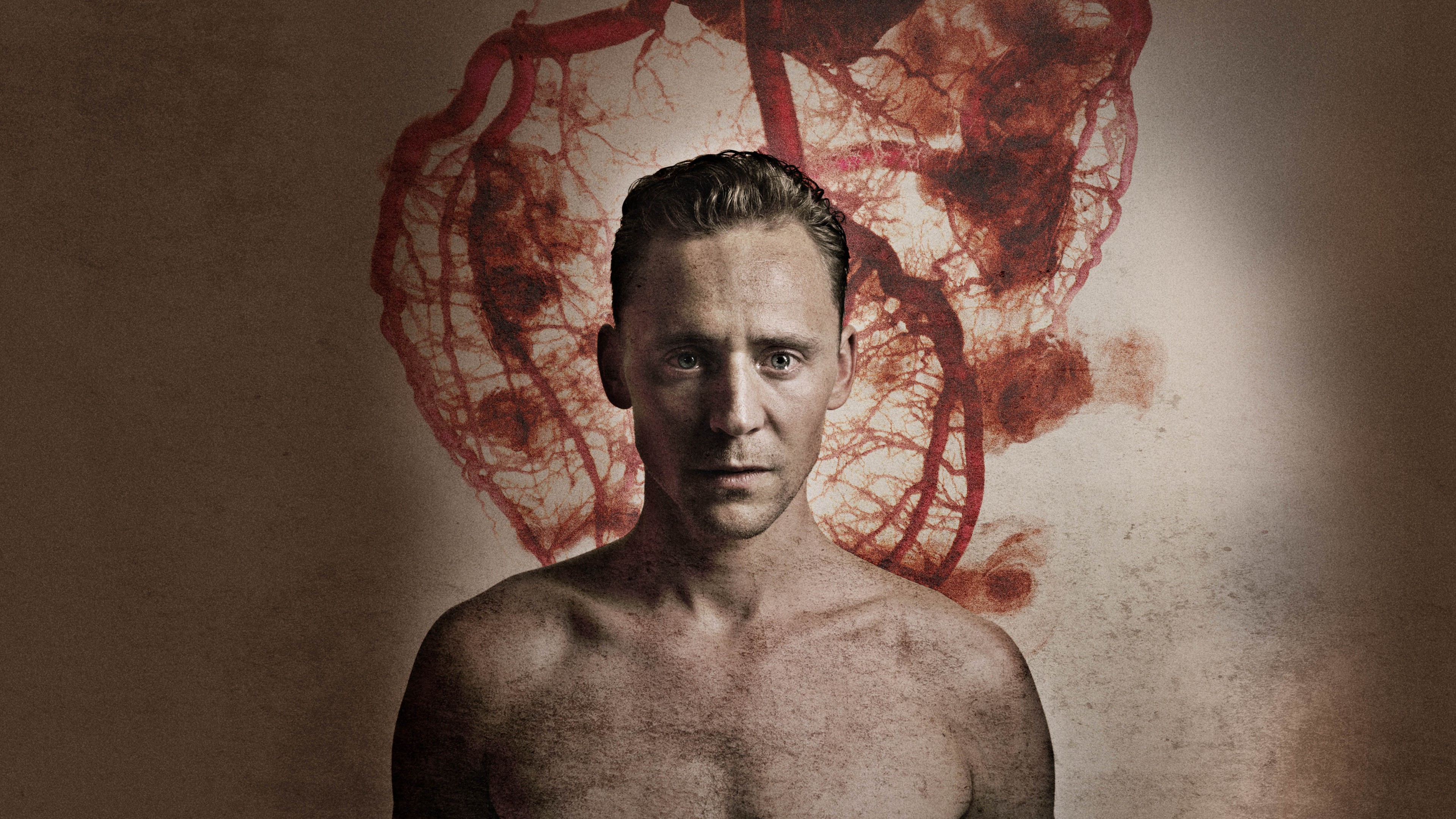 Tom Hiddleston, Most Popular Celebs in 2015, actor, I Saw the Light, Crimson Peak, Avengers: Age of Ultron, HD Wallpaper