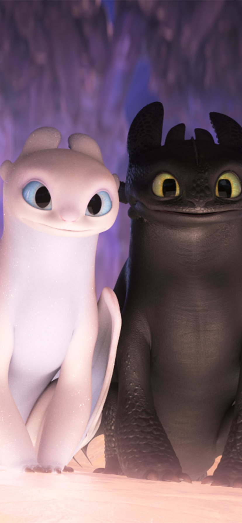 Movie How to Train Your Dragon: The Hidden World, Toothless (How To Train Your Dragon), 828x1792, Phone HD Wallpaper