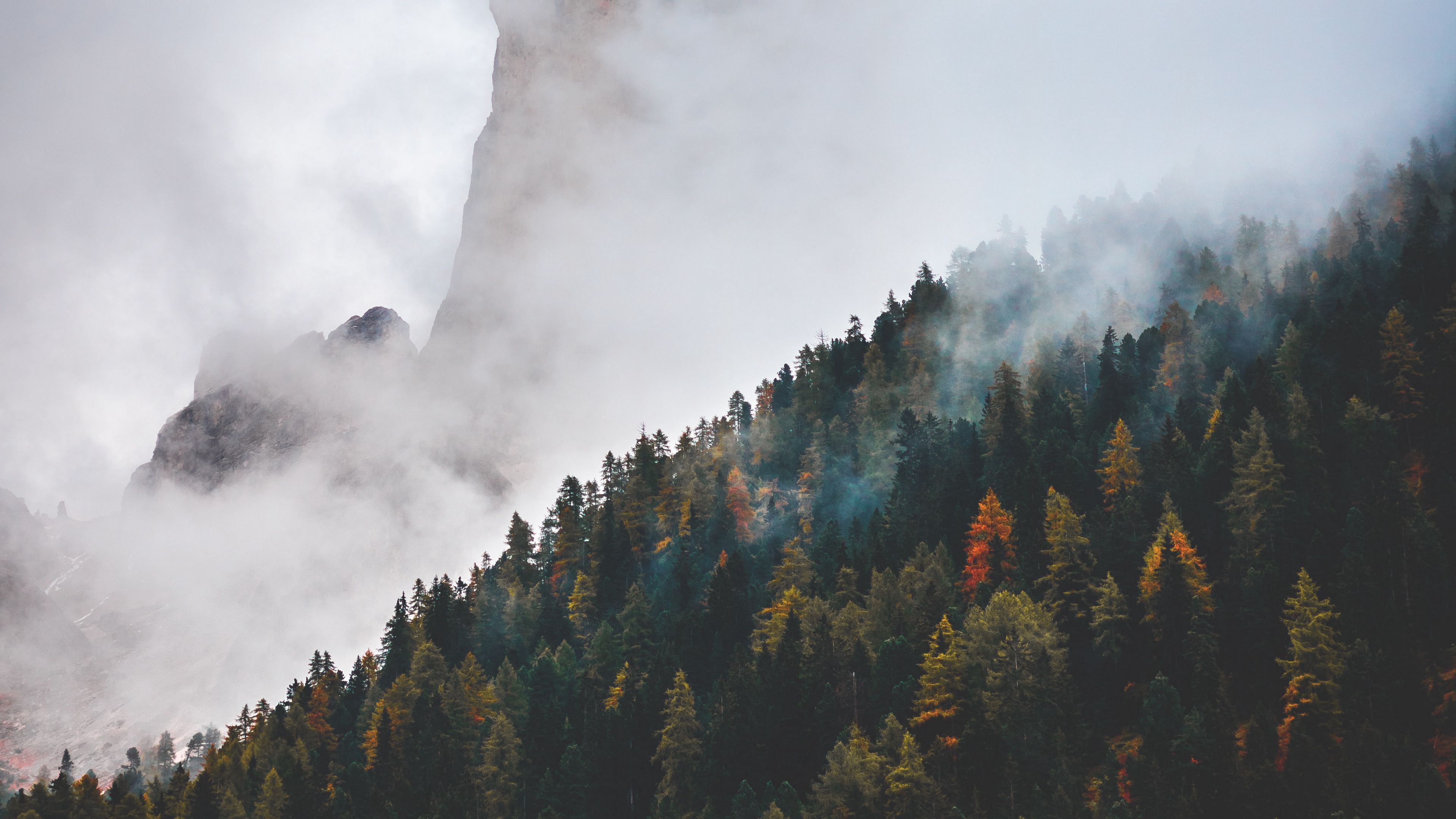 mountain, peak, clouds, forest, 4k, HD Wallpaper