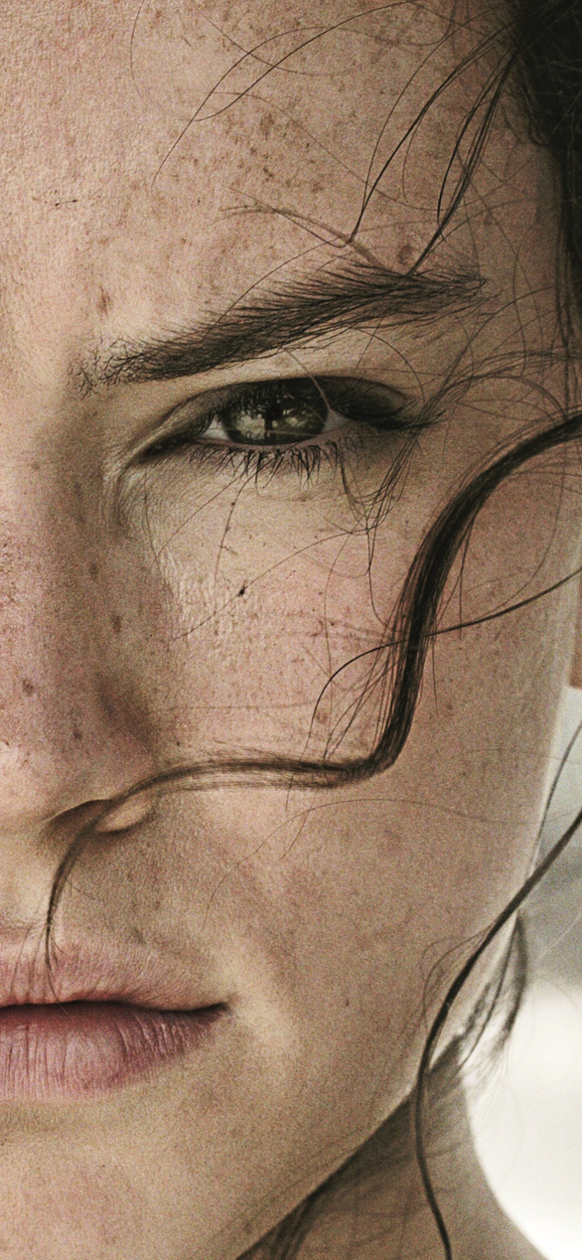 Movie Star Wars Episode VII: The Force Awakens, Rey (Star Wars), Star Wars, Daisy Ridley, 828x1792, Phone HD Wallpaper