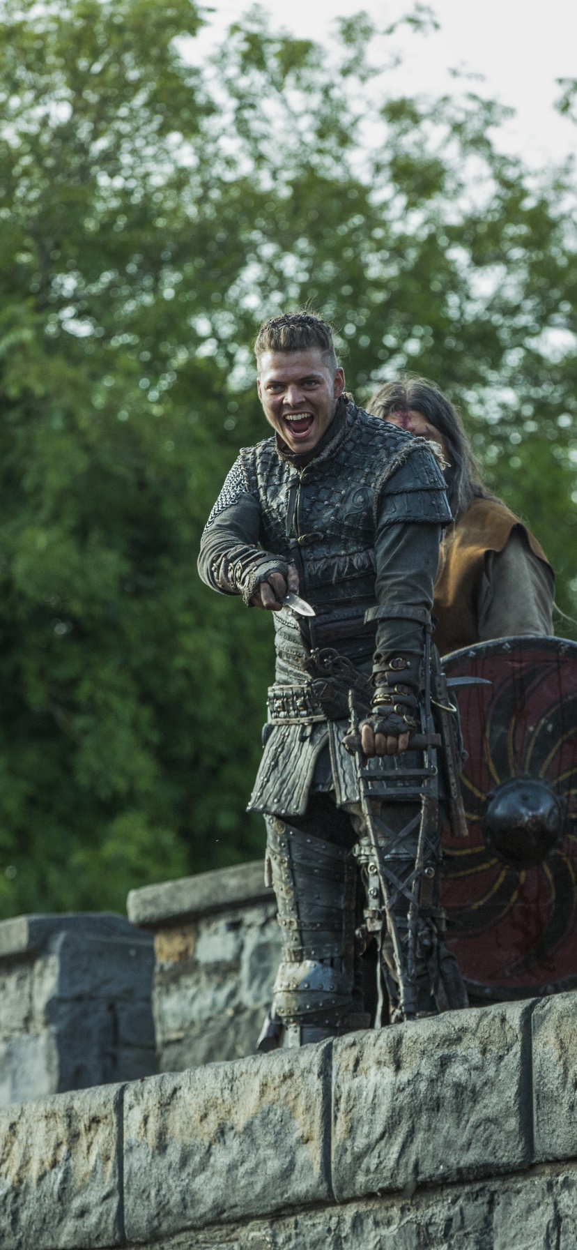 TV Show Vikings, 828x1792, Phone HD Wallpaper