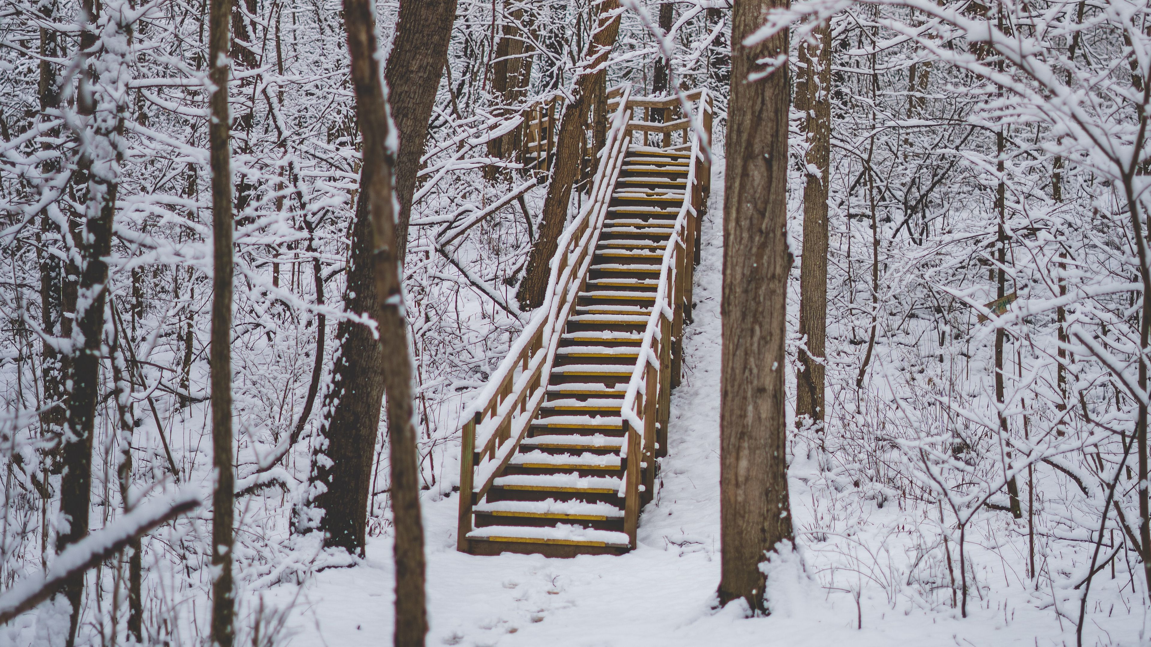 forest, snow, stairs, trees, nature, 4k, HD Wallpaper