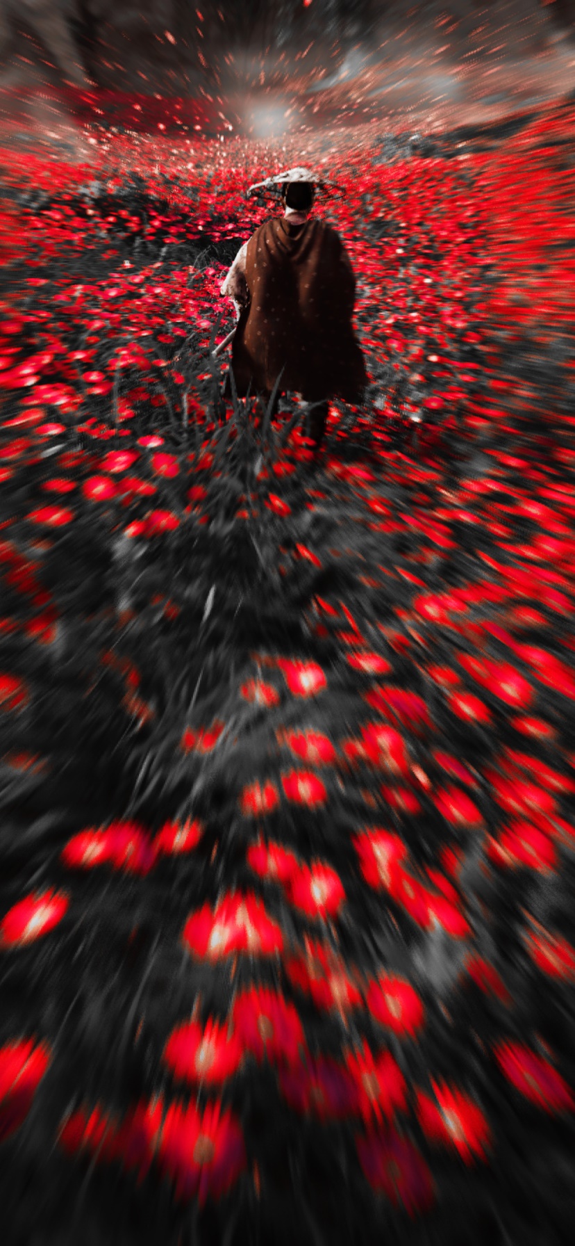 Video Game Ghost of Tsushima, 828x1792, Phone HD Wallpaper