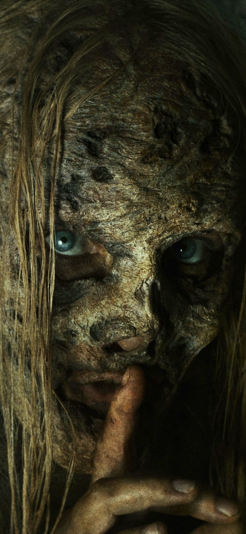TV Show The Walking Dead, 828x1792, Phone HD Wallpaper