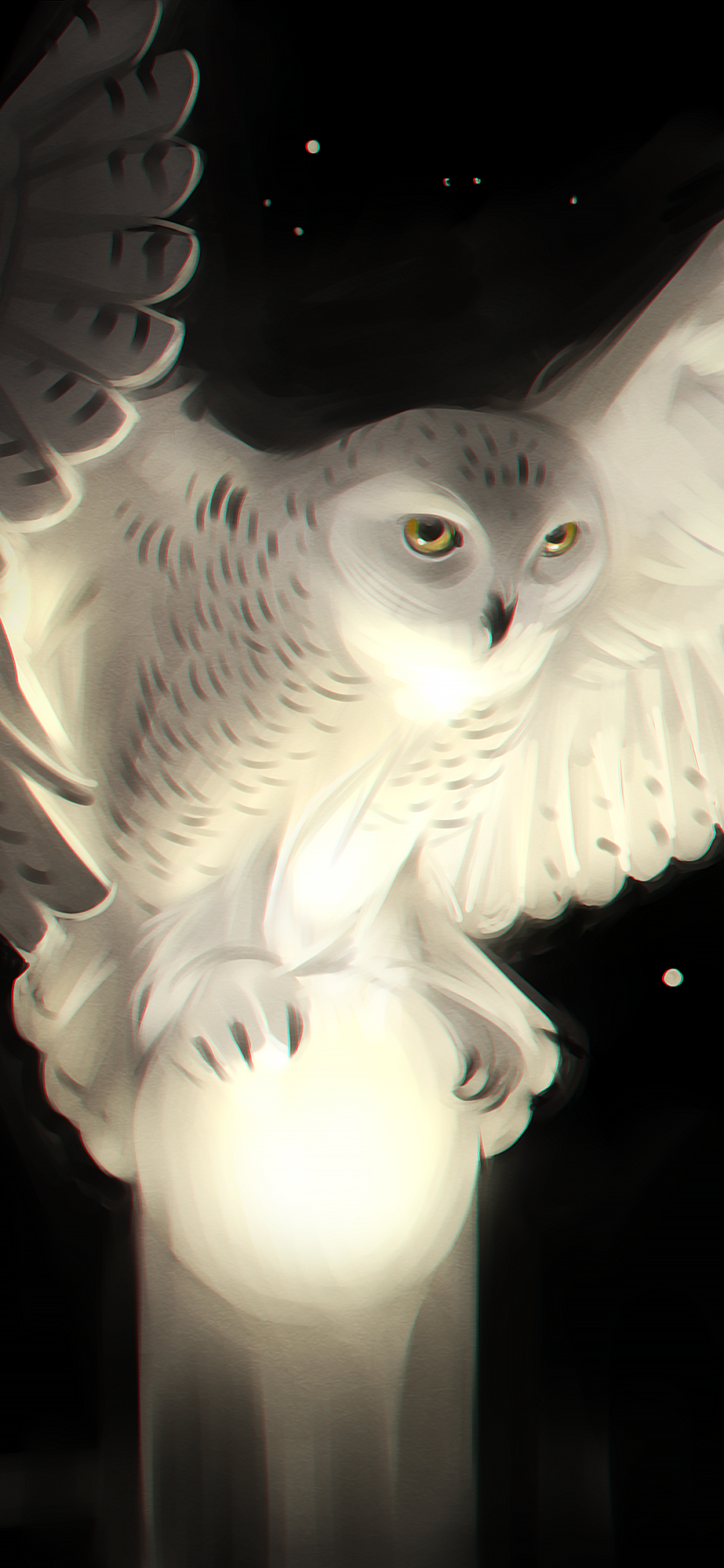 Animal Snowy Owl, Owl, 828x1792, Phone HD Wallpaper