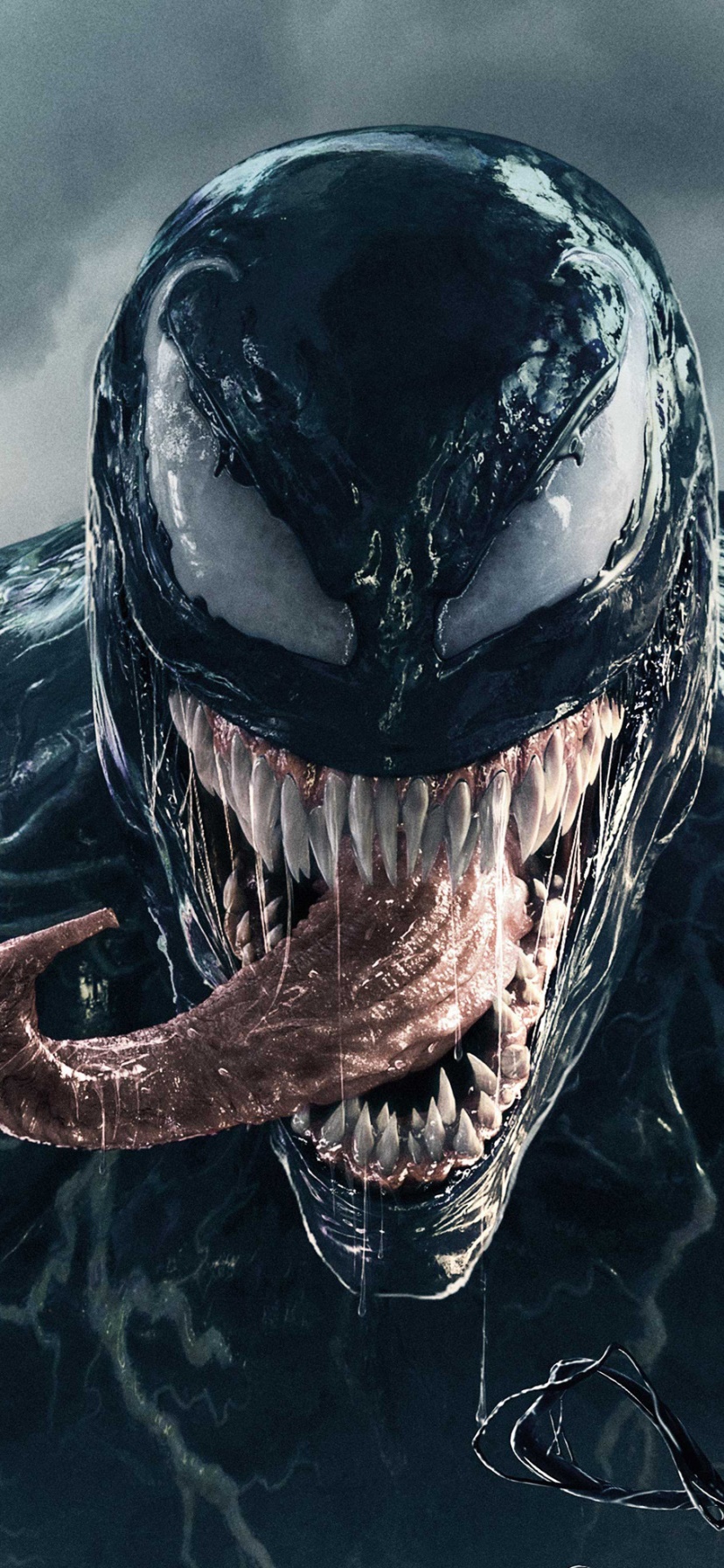 Movie Venom, 828x1792, Phone HD Wallpaper