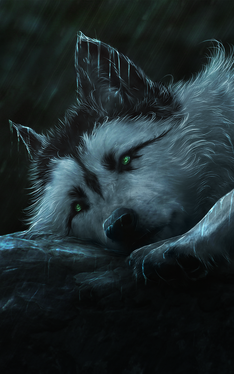Fantasy Wolf, Rain, 800x1280, Phone HD Wallpaper