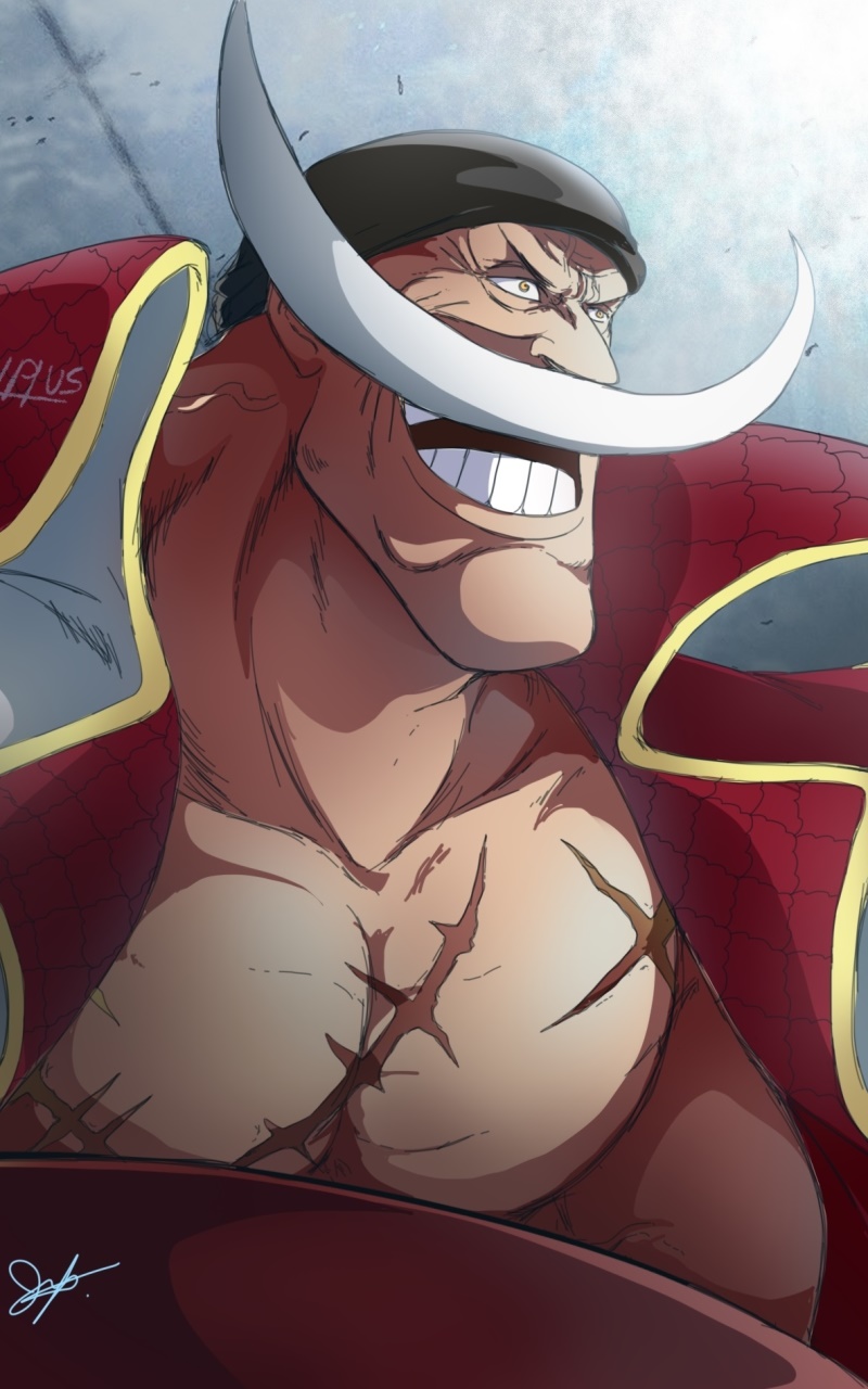 Anime One Piece, Edward Newgate, 800x1280, Phone HD Wallpaper