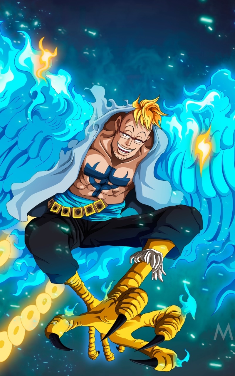 Anime One Piece, Marco (One Piece), 800x1280, Phone HD Wallpaper