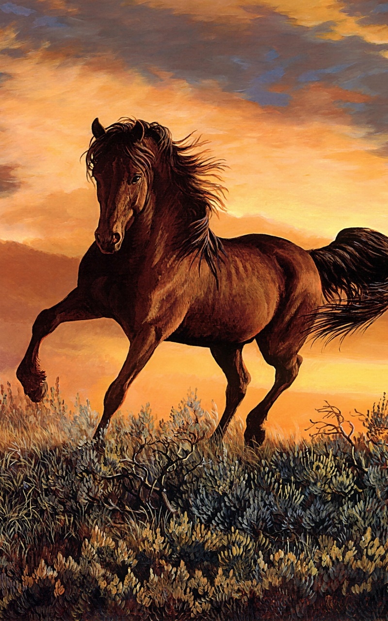Animal Horse, Painting, 800x1280, Phone HD Wallpaper