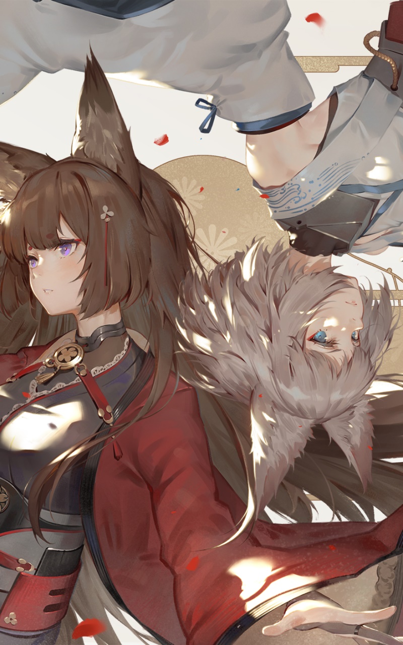 Anime Azur Lane, Amagi (Azur Lane), Kaga (Azur Lane), 800x1280, Phone HD Wallpaper