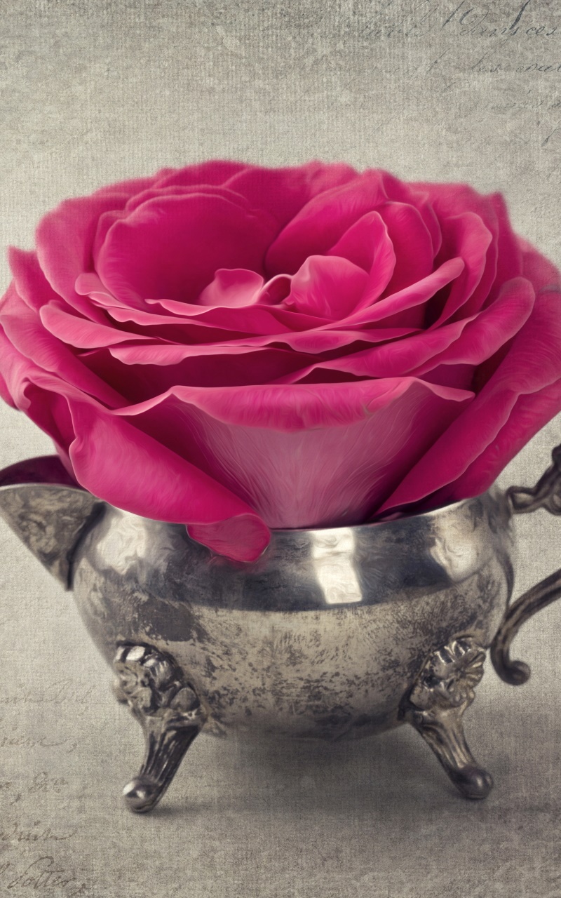 Man Made Flower, Pink Flower, Rose, Still Life, Vase, 800x1280, Phone HD Wallpaper