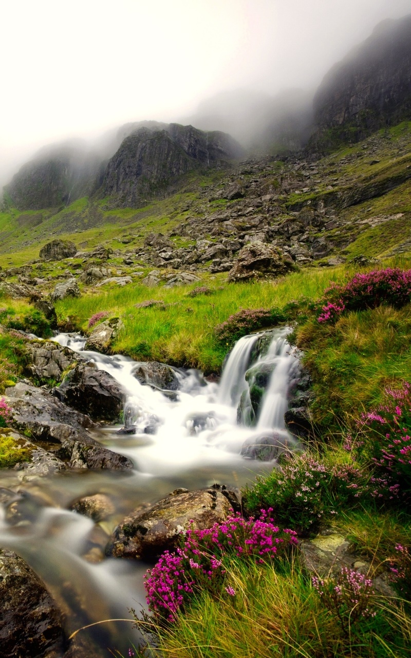 Earth Waterfall, Fog, Flower, Stream, Mountain, 800x1280, Phone HD Wallpaper