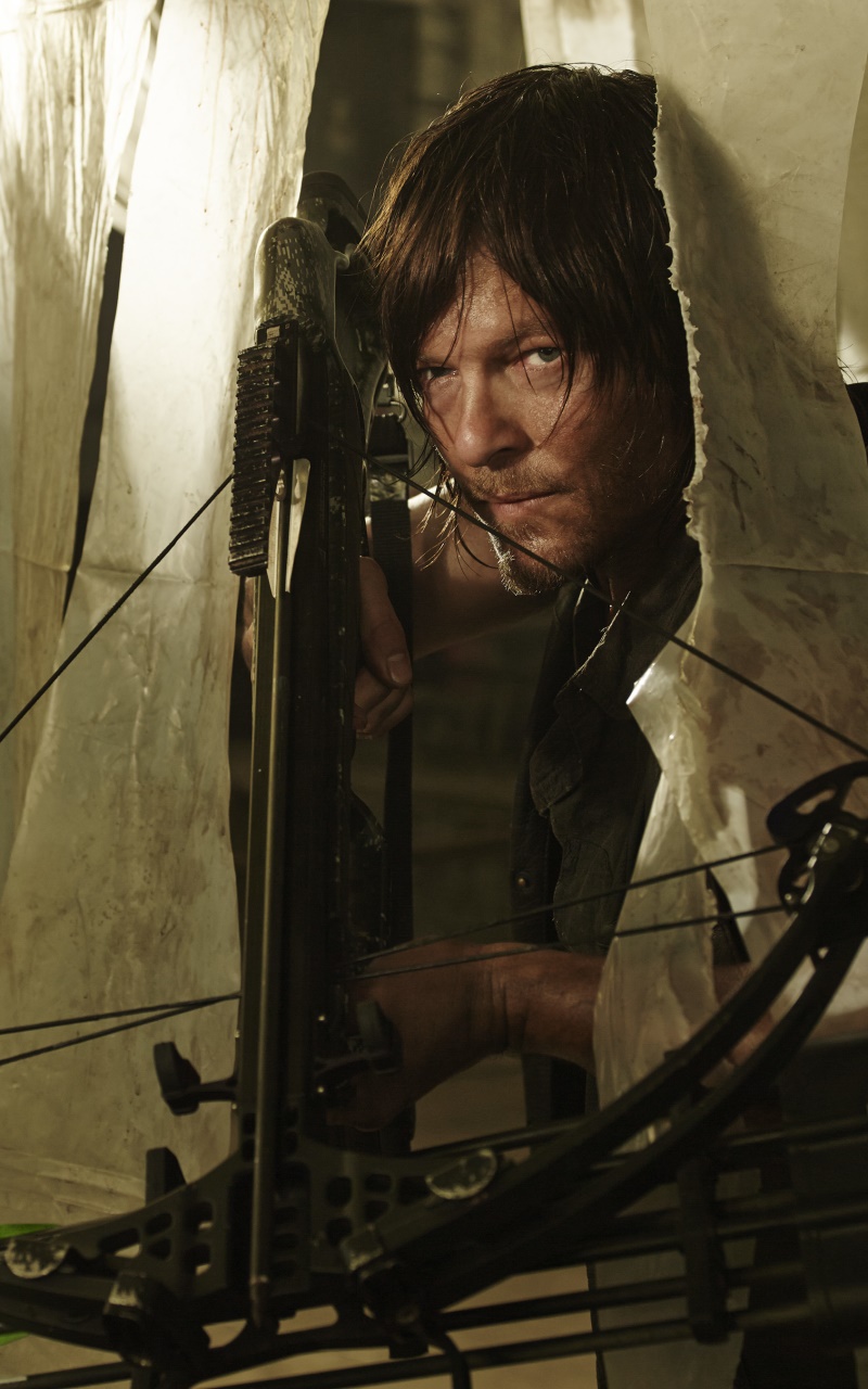 TV Show The Walking Dead, Daryl Dixon, Norman Reedus, 800x1280, Phone HD Wallpaper