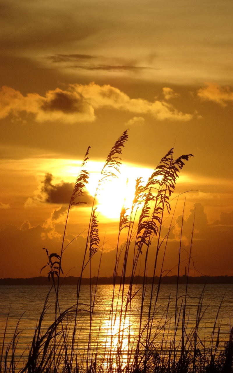 Earth Sunset, 800x1280, Phone HD Wallpaper