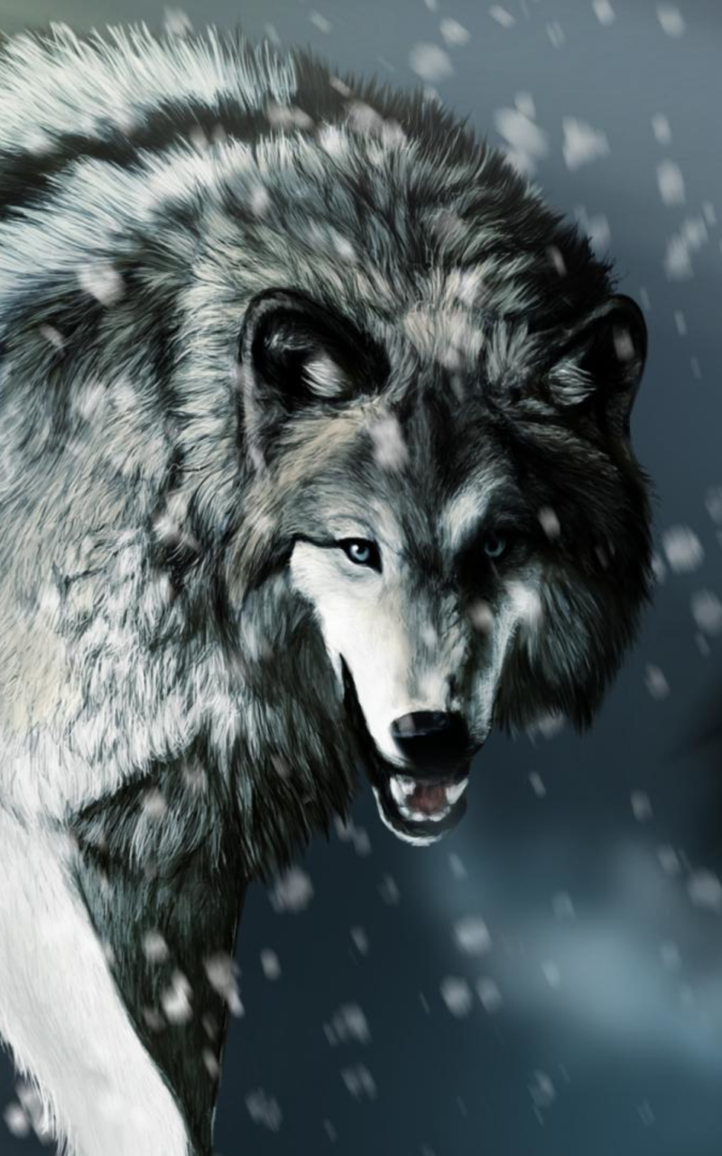 Animal Wolf, 800x1280, Phone HD Wallpaper