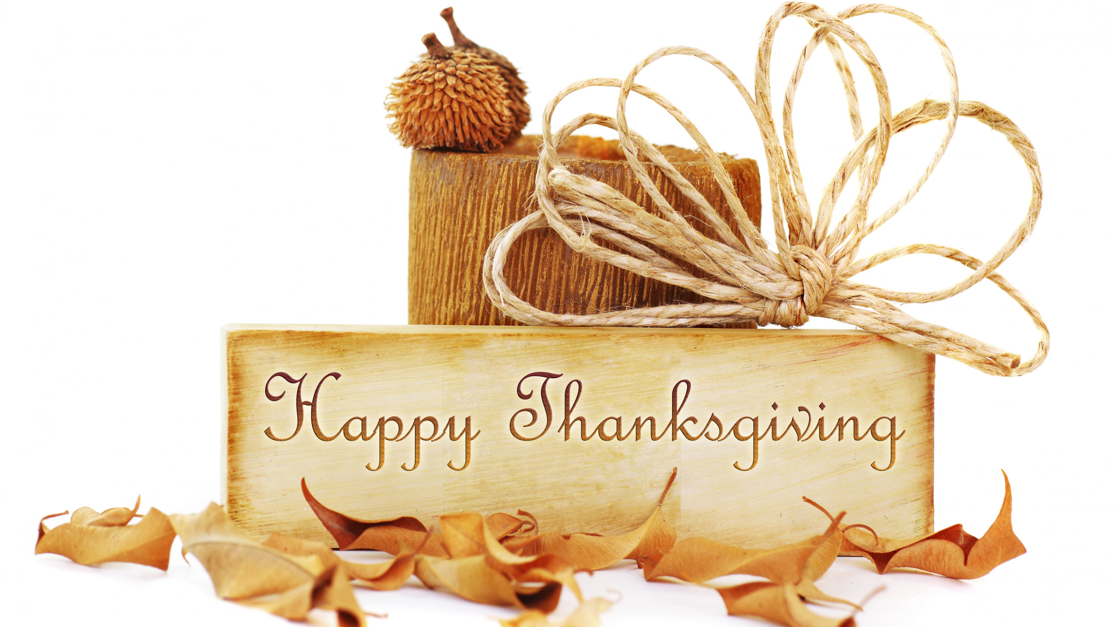 Thanksgiving Day, USA, Canada, event, parade, turkey, family, pumpkin pie, HD Wallpaper
