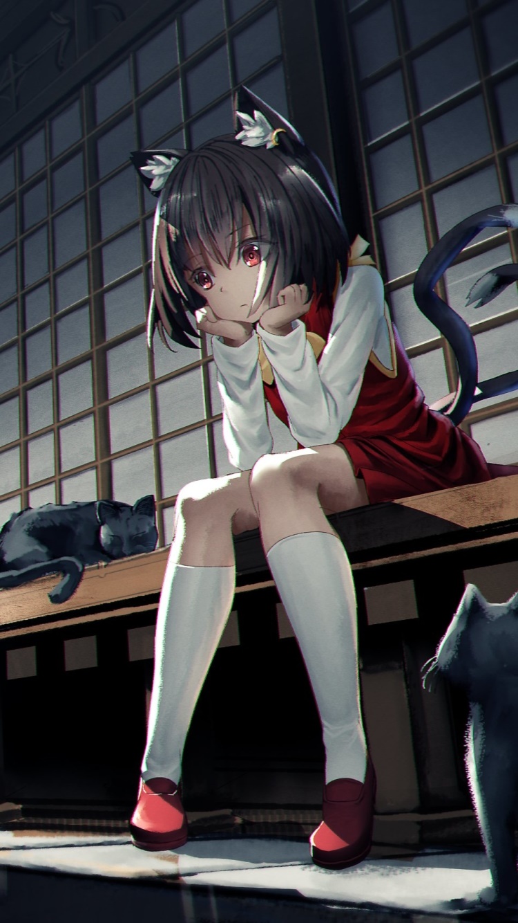 Anime Touhou, Chen (Touhou), 750x1334, Phone HD Wallpaper