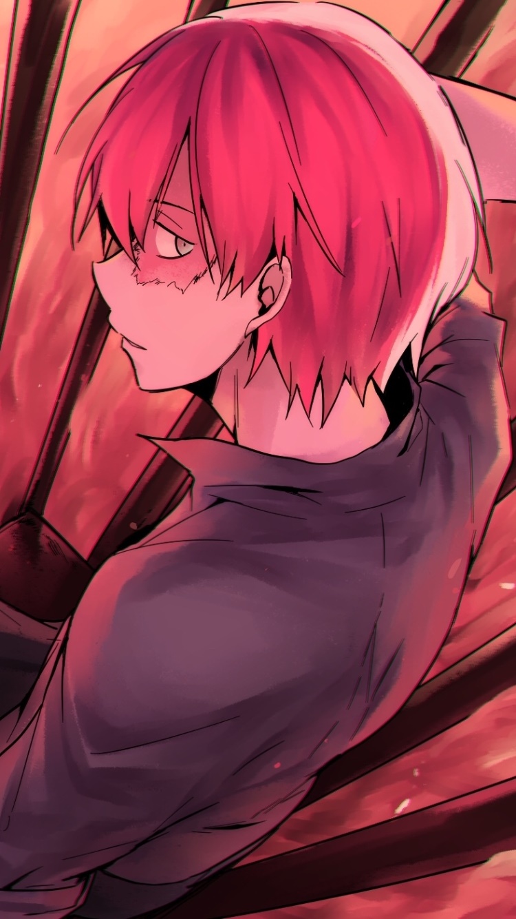 Anime My Hero Academia, Shoto Todoroki, 750x1334, Phone HD Wallpaper