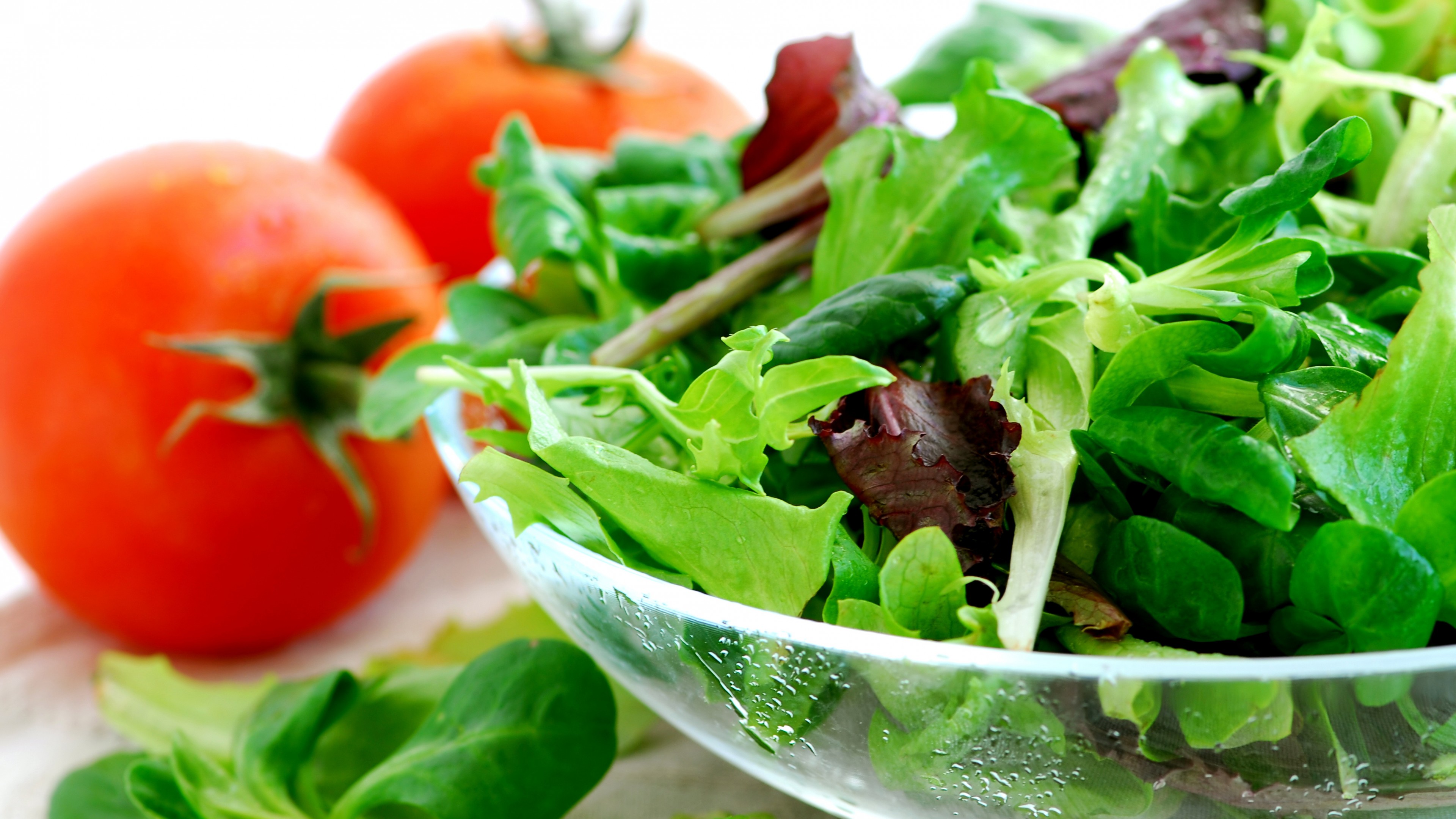 mix lettuce, tomatoes, vegetarian, cooking, recipe, HD Wallpaper