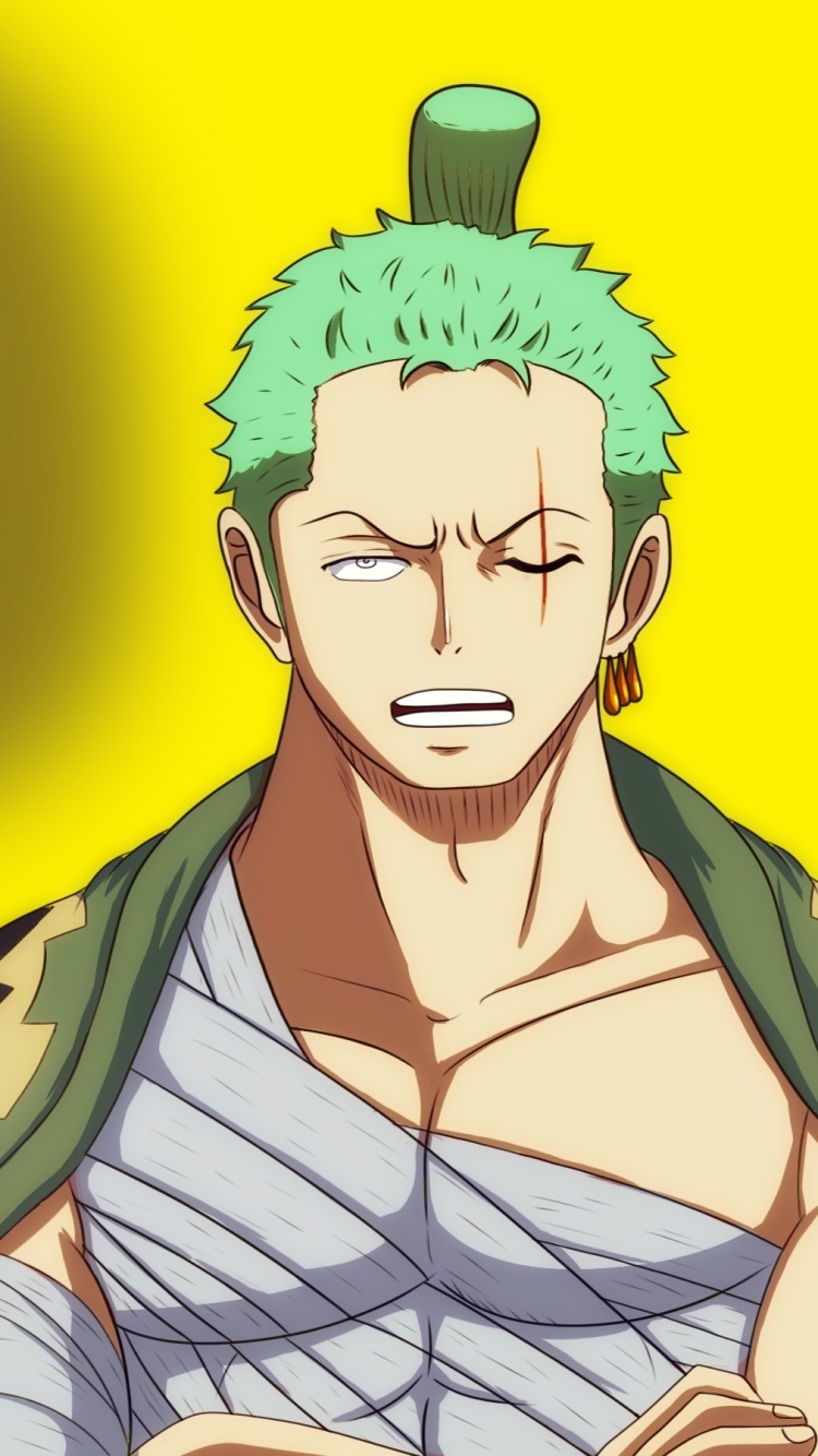 Anime One Piece, Roronoa Zoro, Kozuki Momonosuke, 750x1334, Phone HD Wallpaper