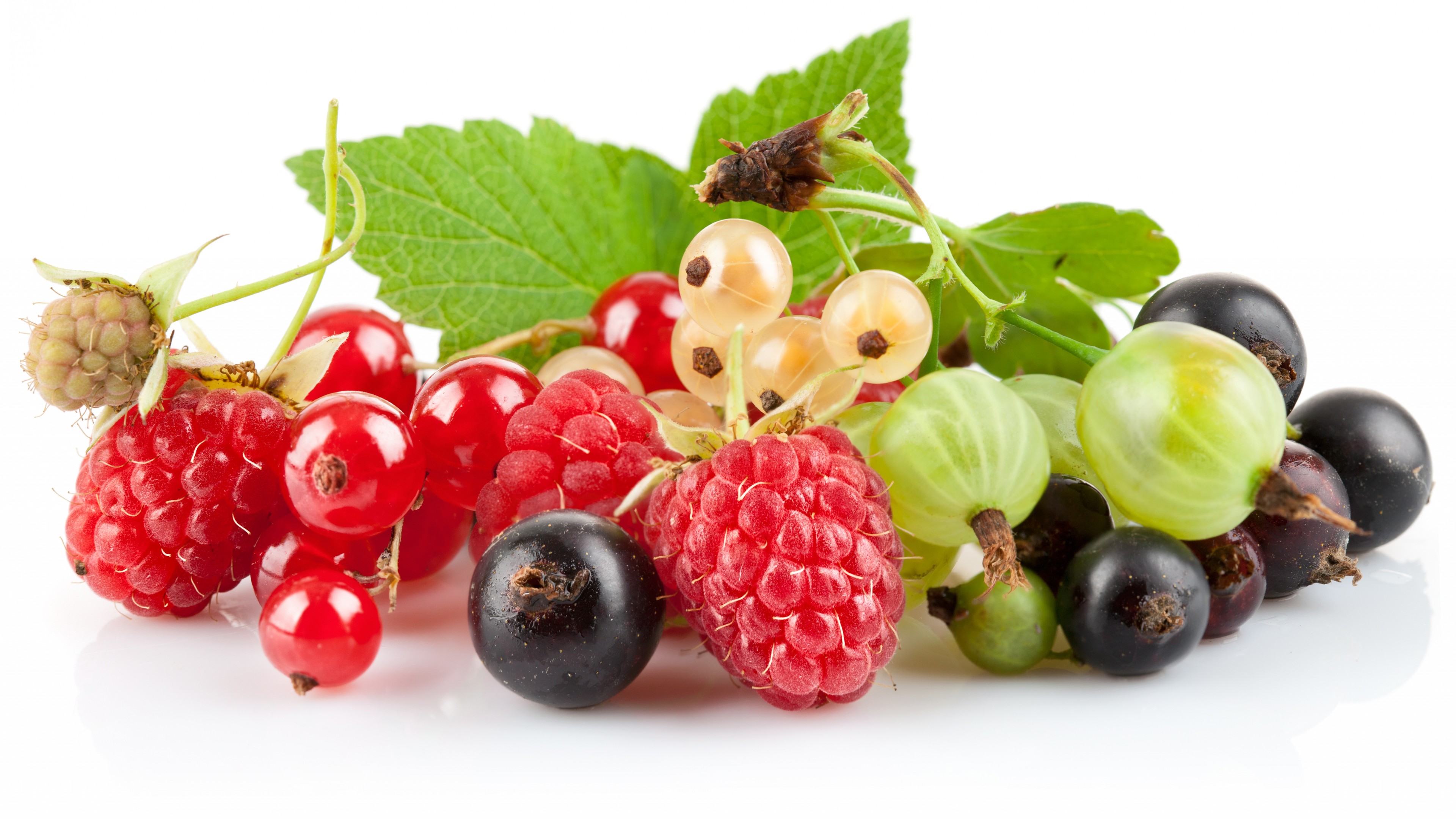 berries, gooseberries, currants, raspberries, blueberries, HD Wallpaper