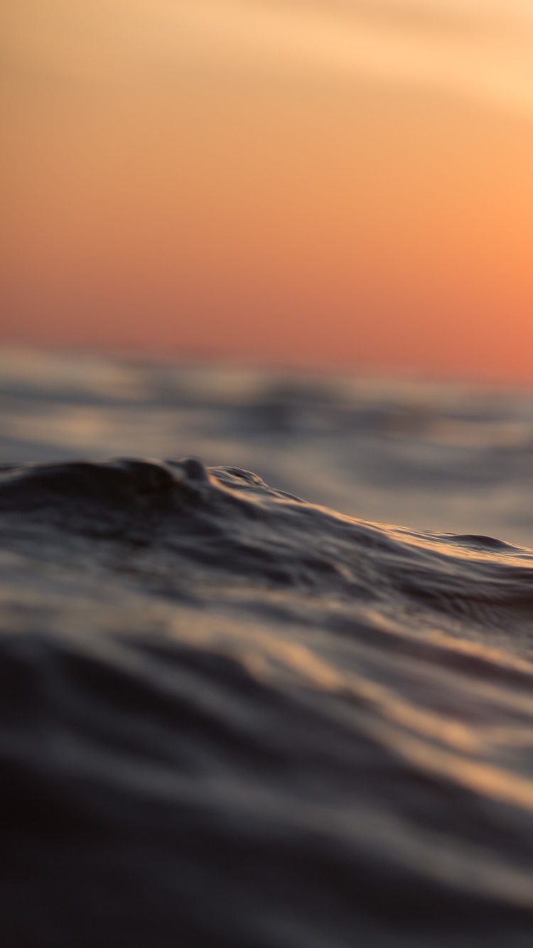 Earth Sunset, Close-up, Water, Sun, 750x1334, Phone HD Wallpaper