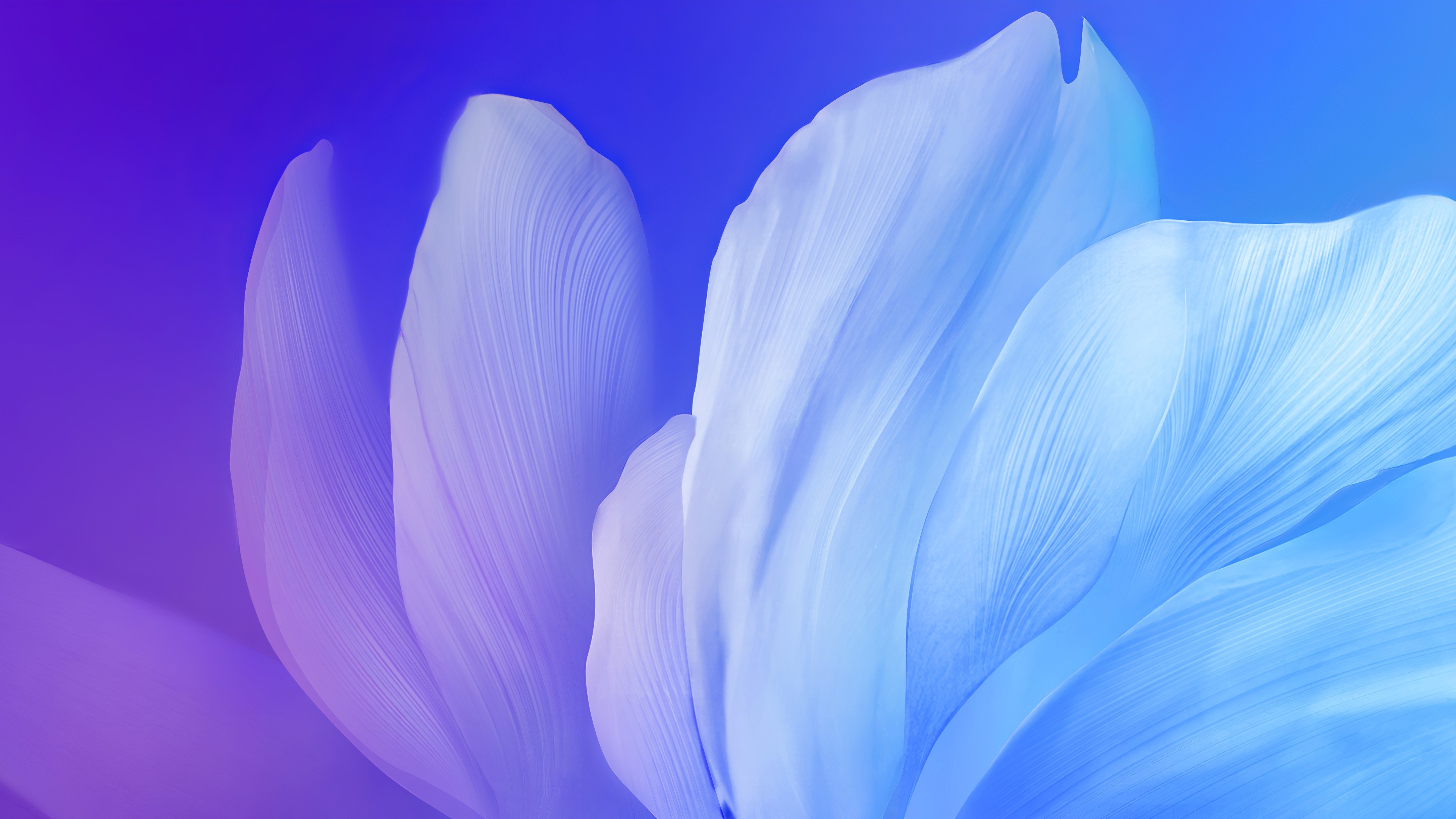 Vivo V17, colorful, Android 10, abstract, 4K, HD Wallpaper